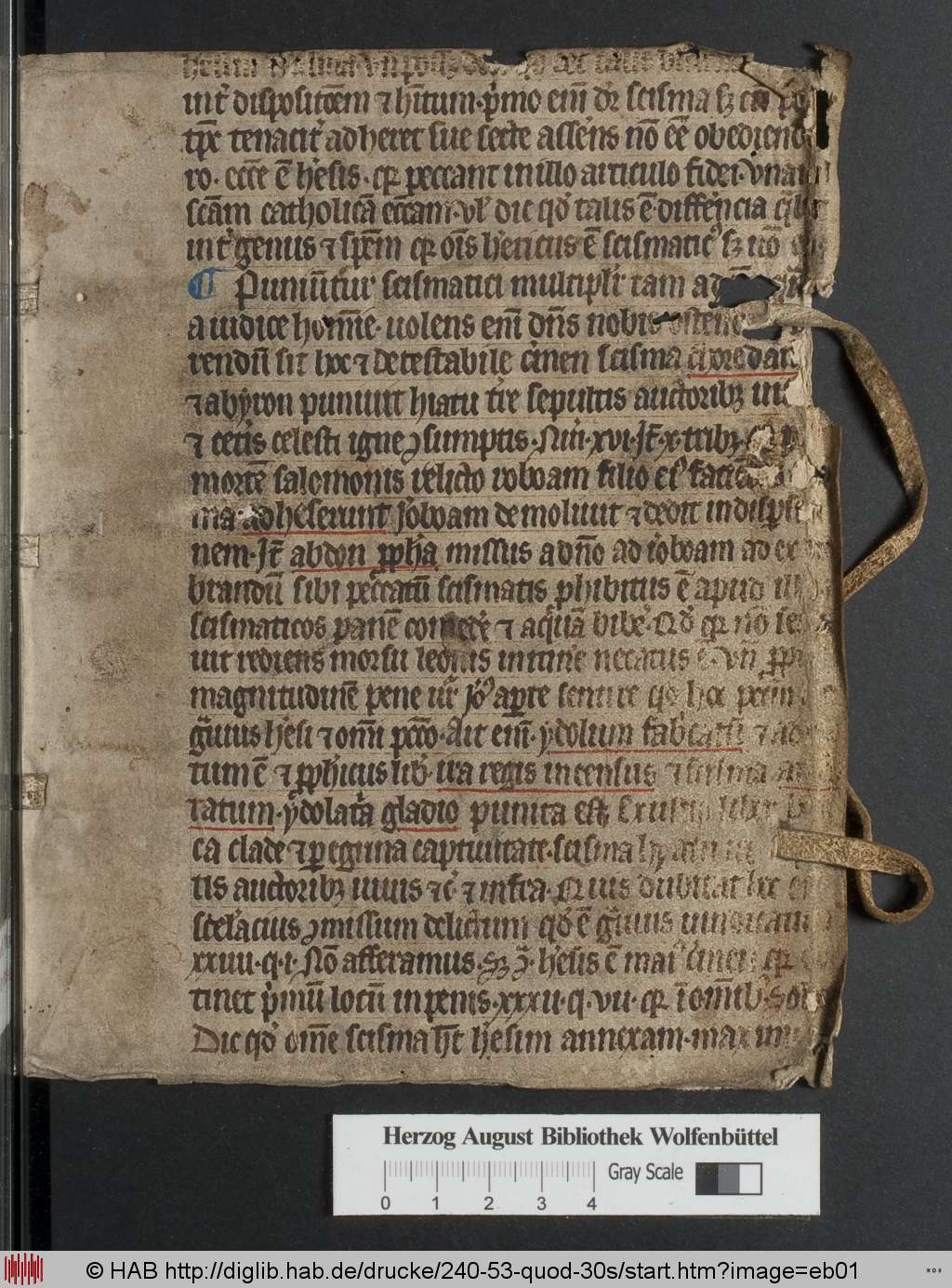 http://diglib.hab.de/drucke/240-53-quod-30s/eb01.jpg