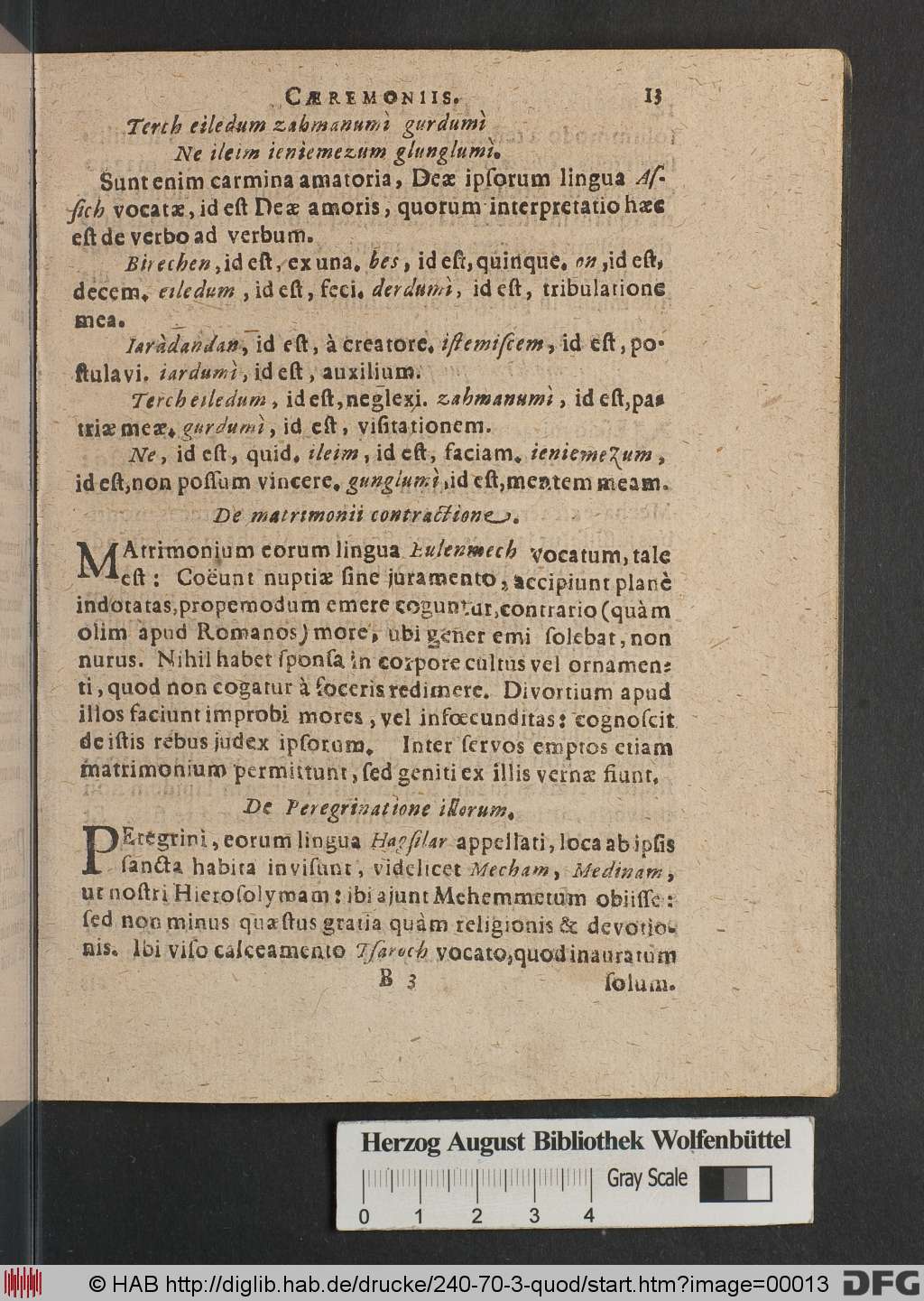 http://diglib.hab.de/drucke/240-70-3-quod/00013.jpg