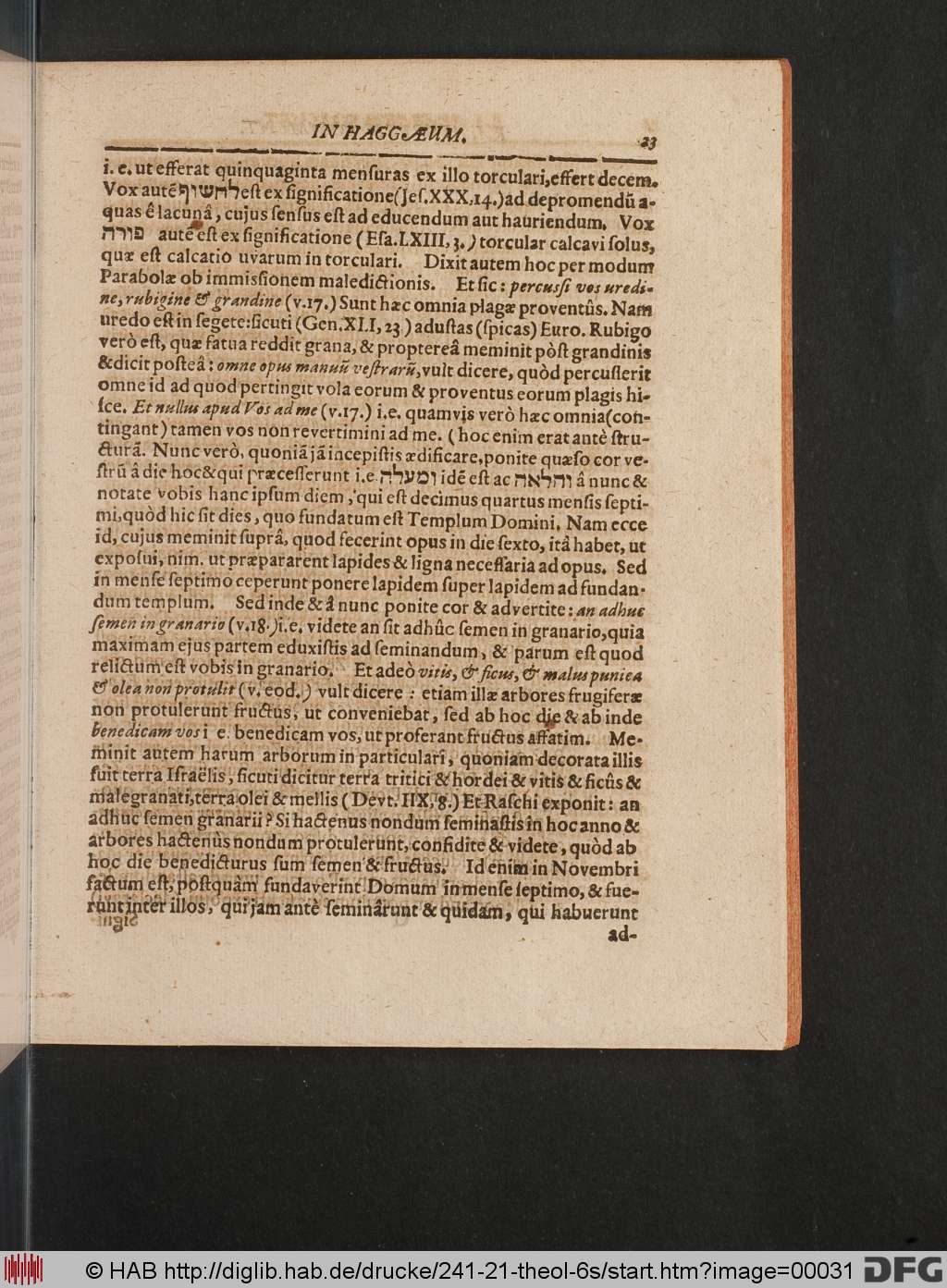 http://diglib.hab.de/drucke/241-21-theol-6s/00031.jpg
