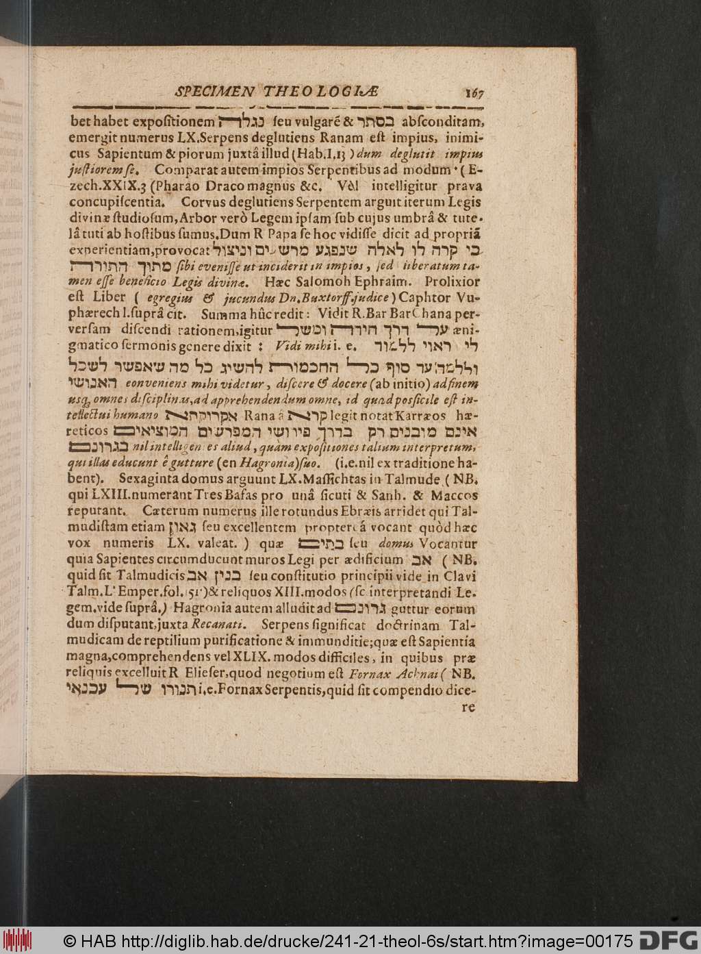 http://diglib.hab.de/drucke/241-21-theol-6s/00175.jpg