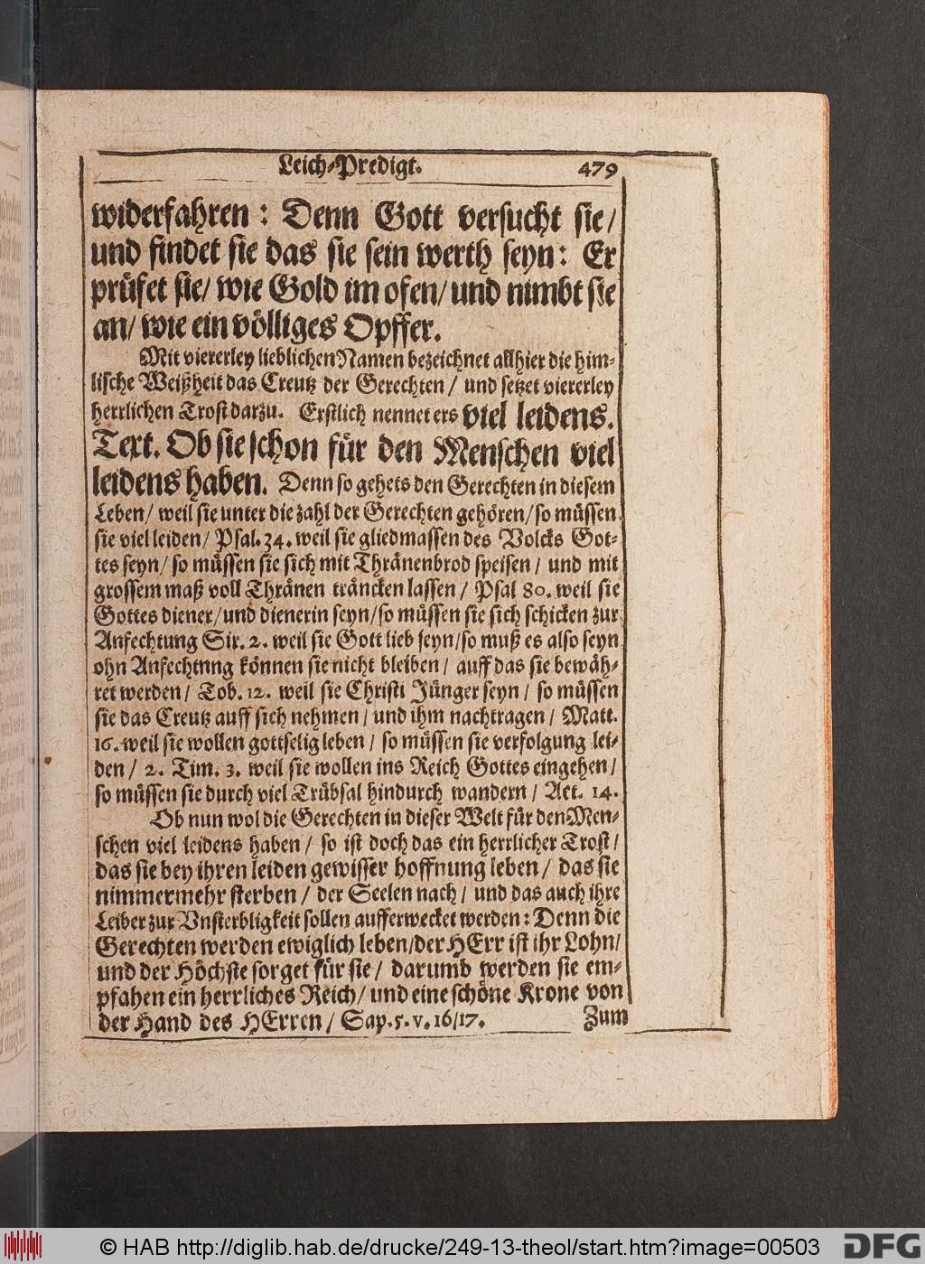 http://diglib.hab.de/drucke/249-13-theol/00503.jpg
