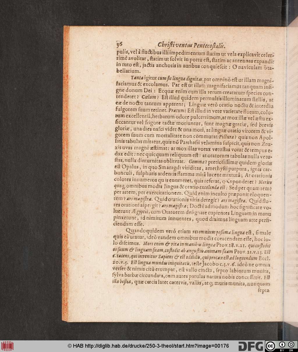 http://diglib.hab.de/drucke/250-3-theol/00176.jpg