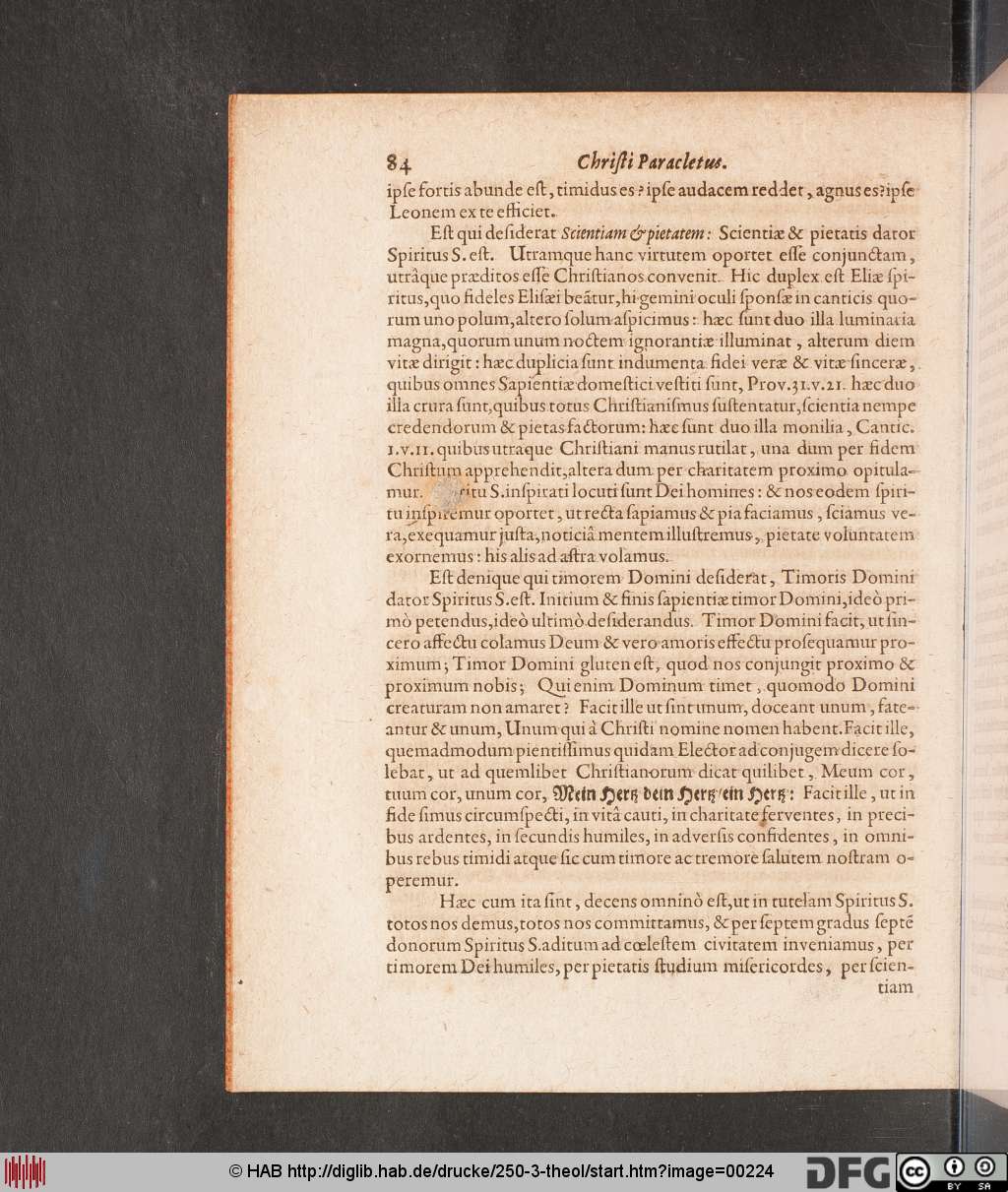 http://diglib.hab.de/drucke/250-3-theol/00224.jpg