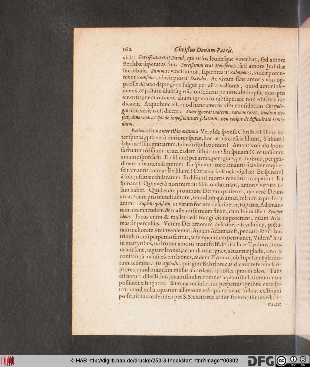 http://diglib.hab.de/drucke/250-3-theol/00302.jpg