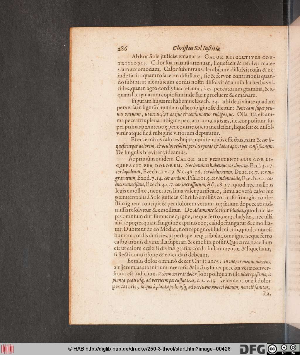 http://diglib.hab.de/drucke/250-3-theol/00426.jpg