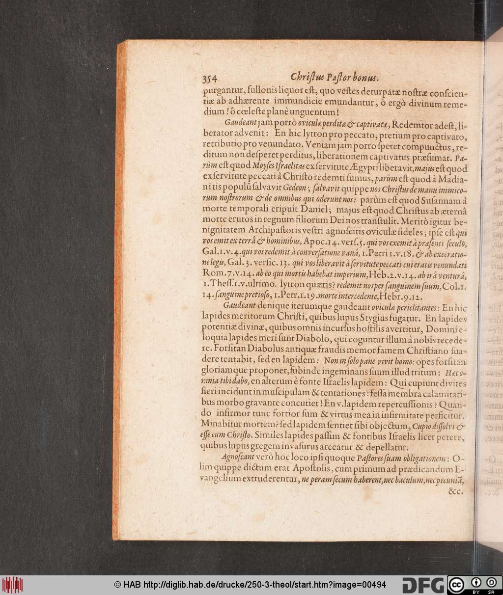 http://diglib.hab.de/drucke/250-3-theol/00494.jpg