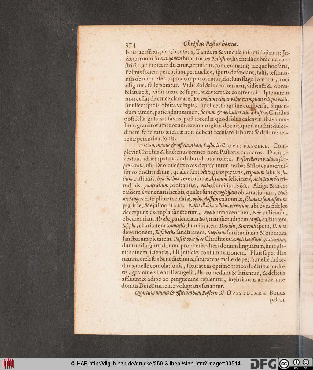 http://diglib.hab.de/drucke/250-3-theol/00514.jpg