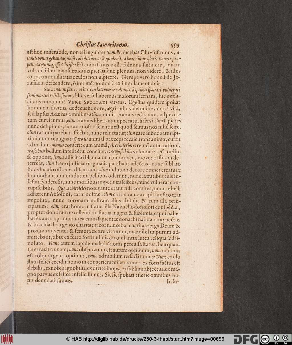 http://diglib.hab.de/drucke/250-3-theol/00699.jpg