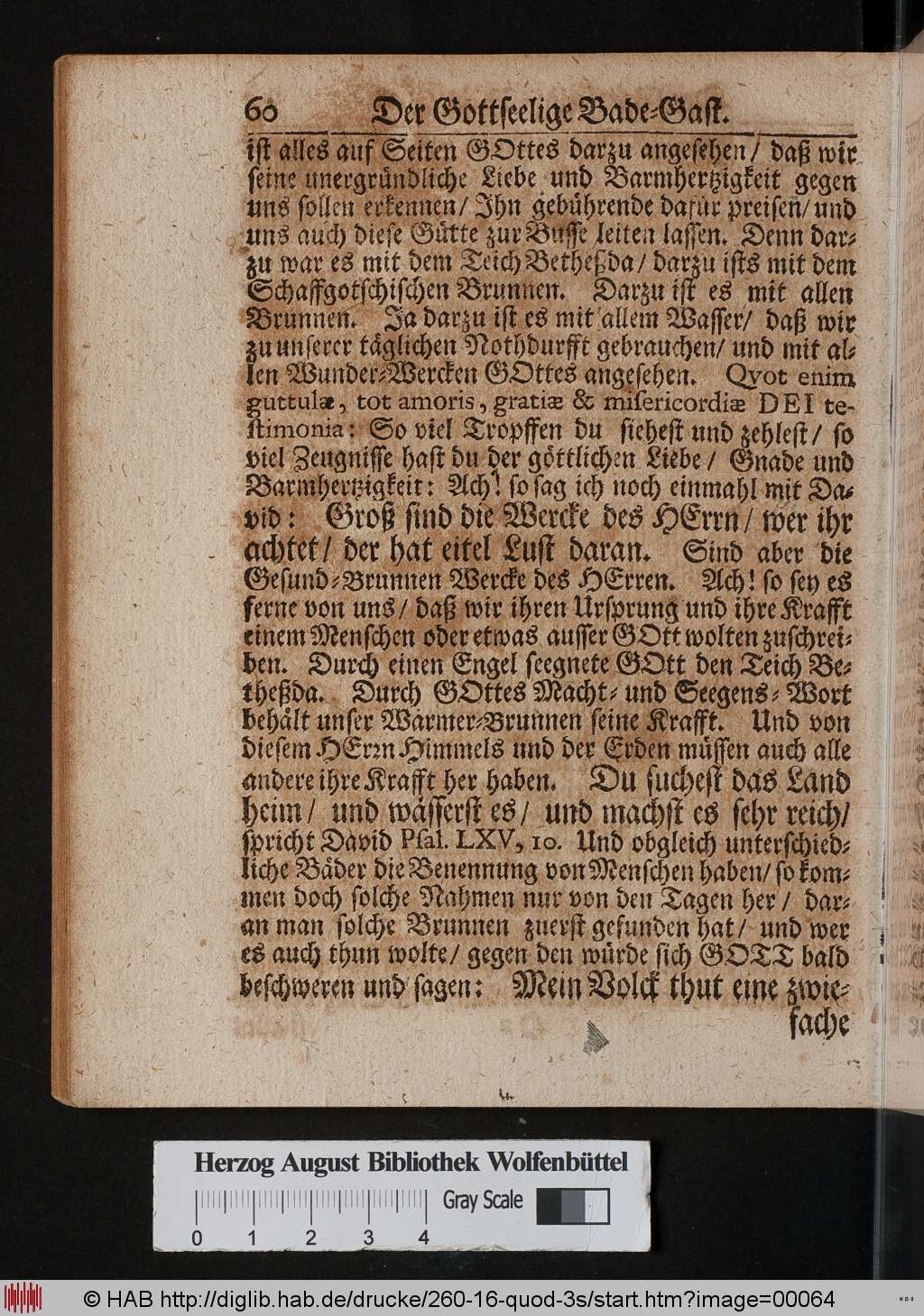 http://diglib.hab.de/drucke/260-16-quod-3s/00064.jpg
