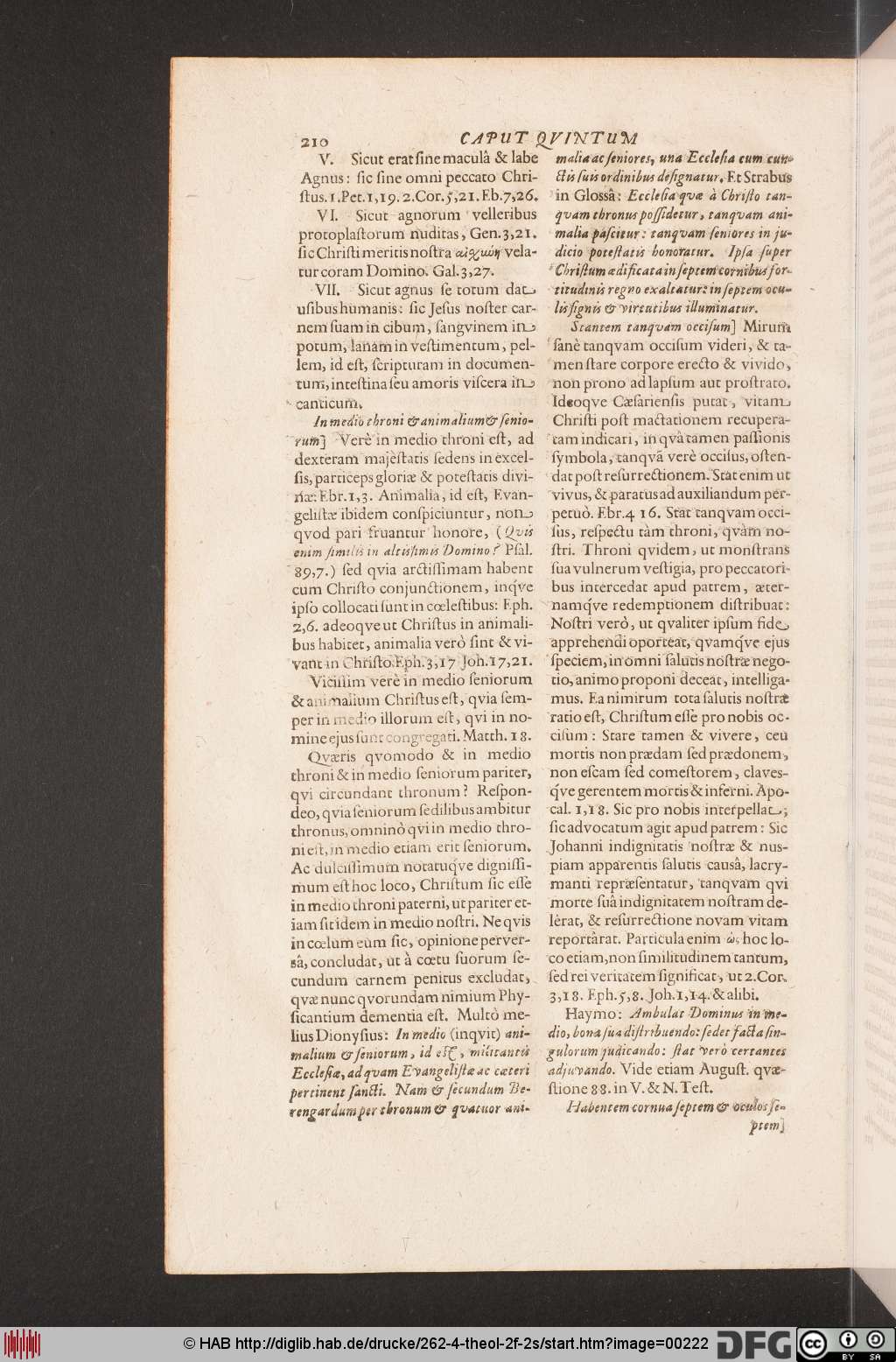 http://diglib.hab.de/drucke/262-4-theol-2f-2s/00222.jpg