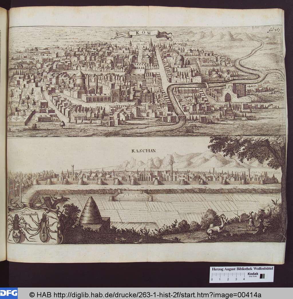 http://diglib.hab.de/drucke/263-1-hist-2f/00414a.jpg