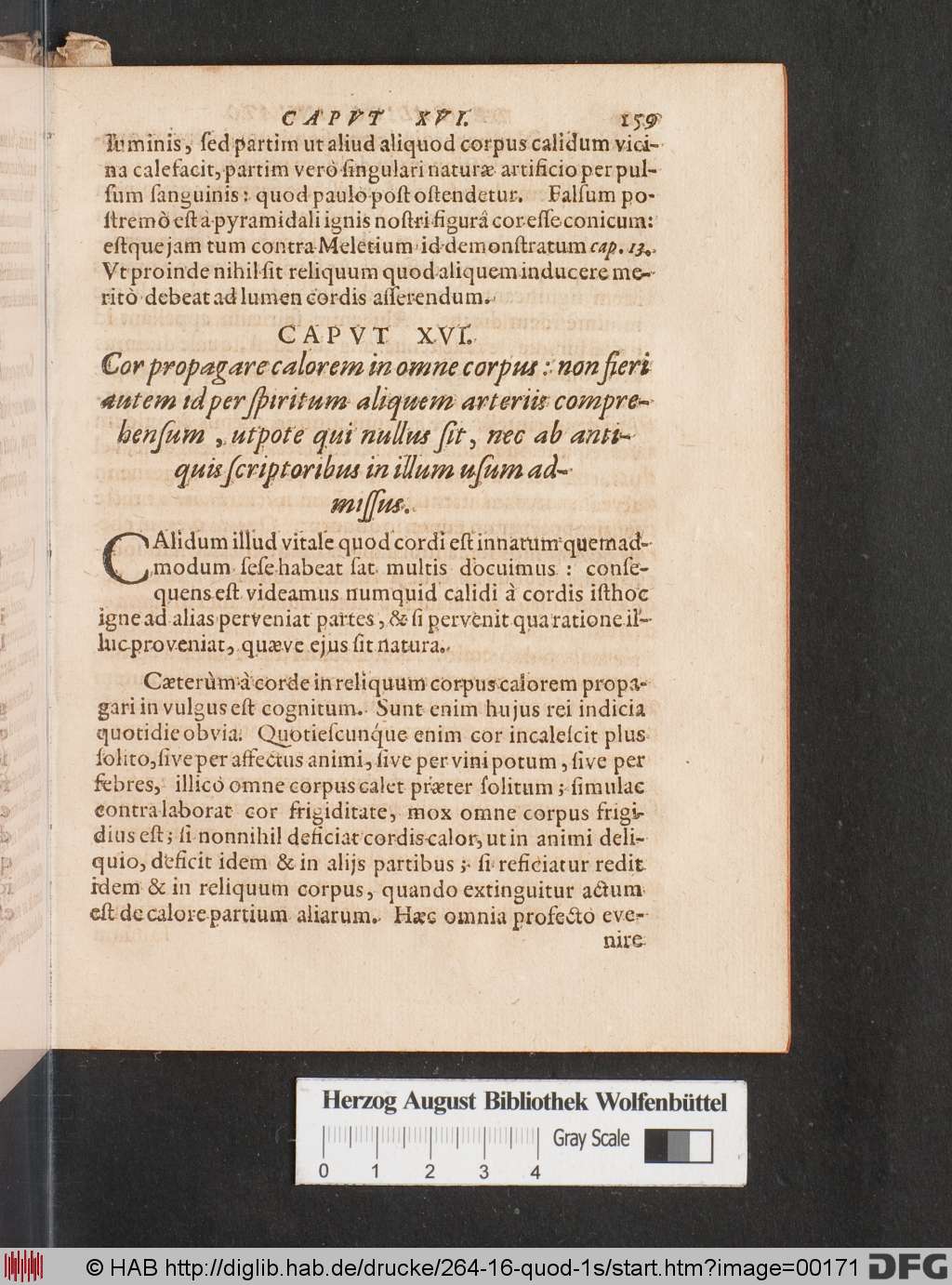 http://diglib.hab.de/drucke/264-16-quod-1s/00171.jpg