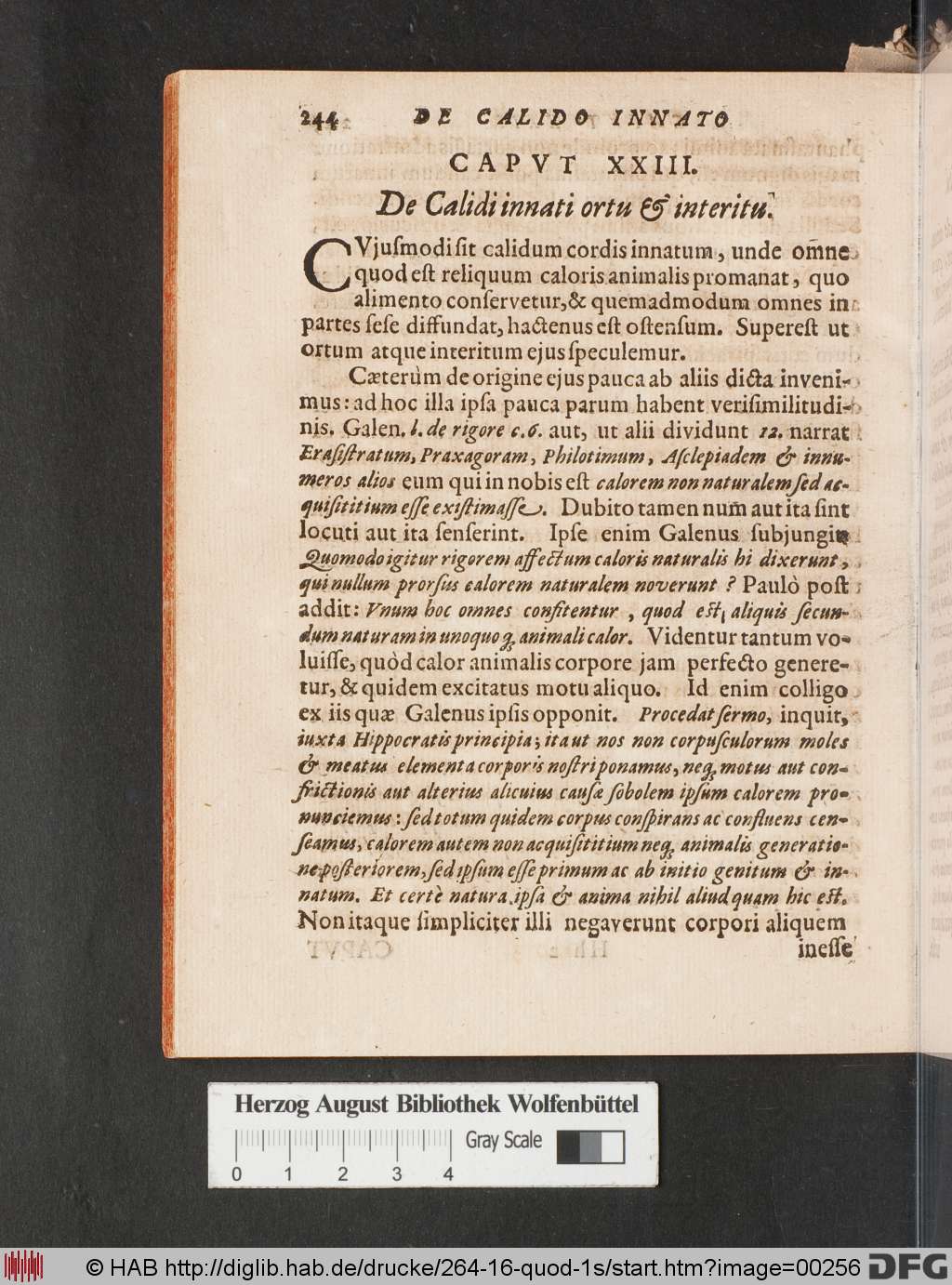 http://diglib.hab.de/drucke/264-16-quod-1s/00256.jpg