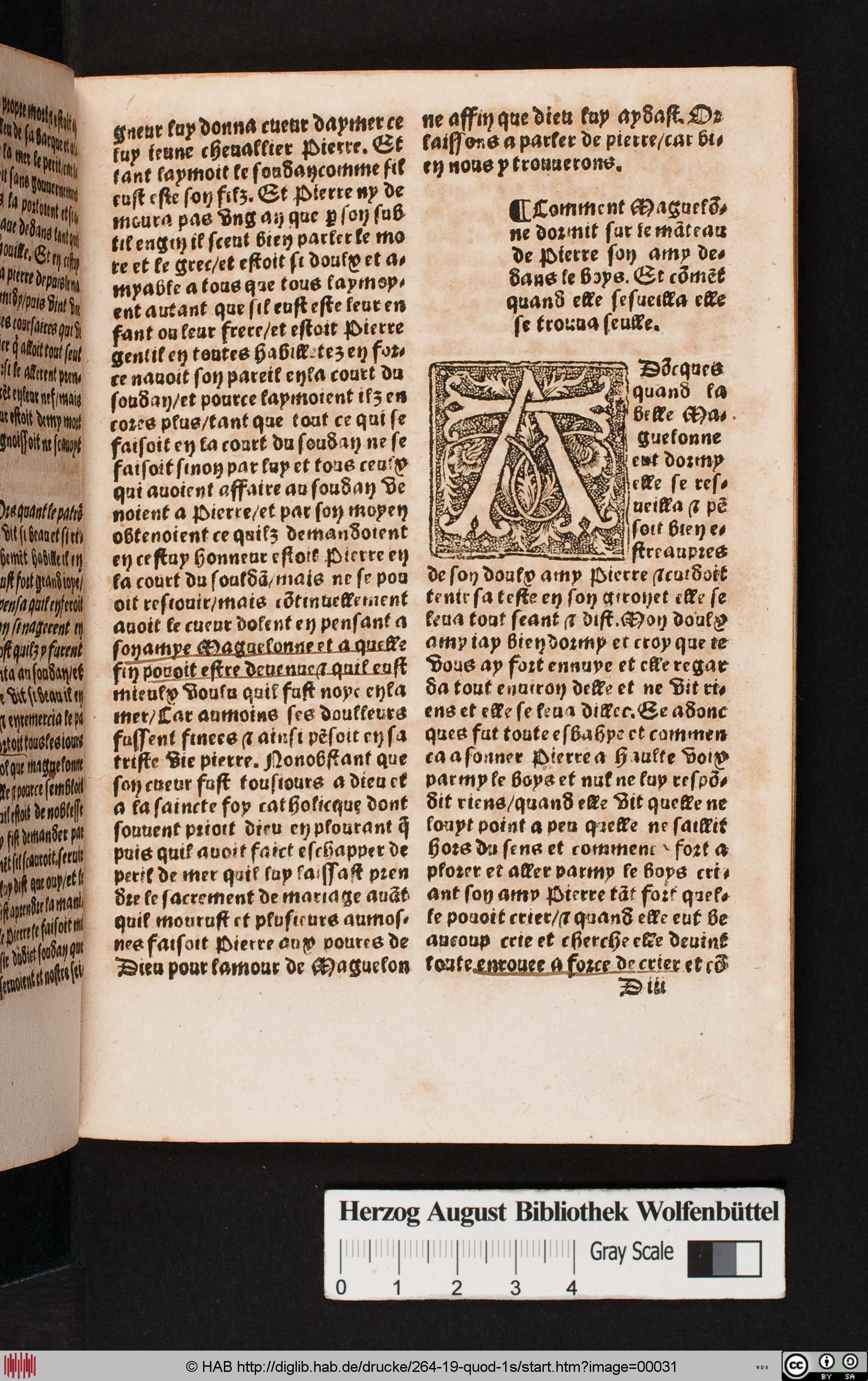 http://diglib.hab.de/drucke/264-19-quod-1s/max/00031.jpg