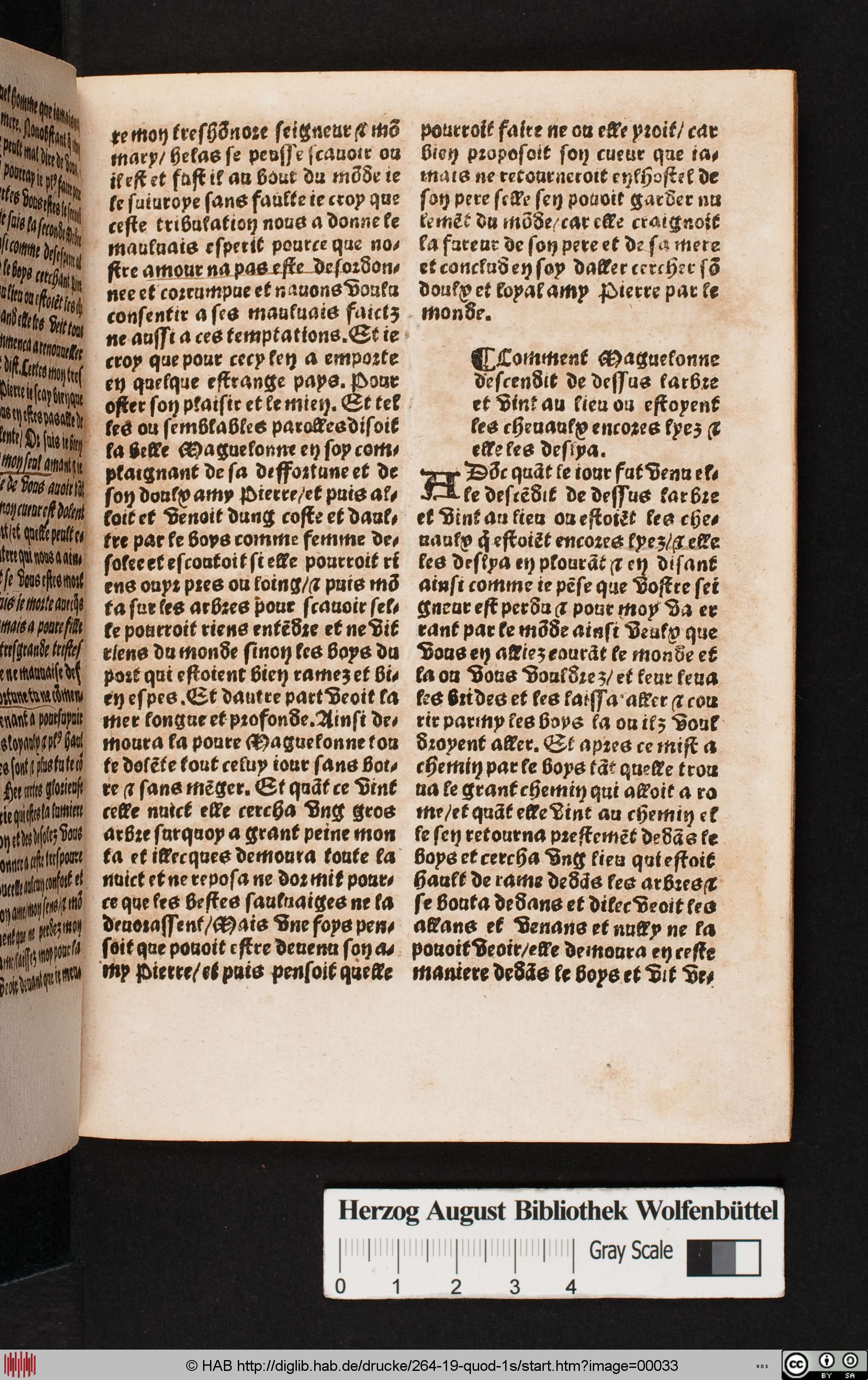 http://diglib.hab.de/drucke/264-19-quod-1s/max/00033.jpg