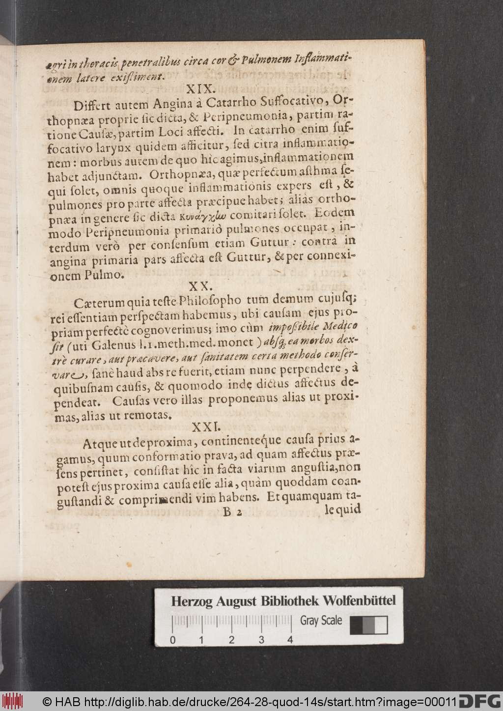 http://diglib.hab.de/drucke/264-28-quod-14s/00011.jpg