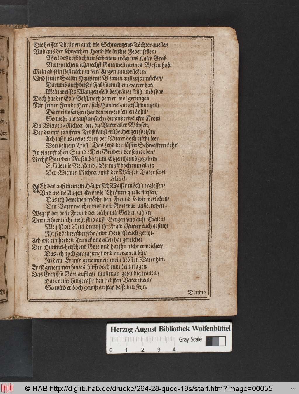 http://diglib.hab.de/drucke/264-28-quod-19s/00055.jpg