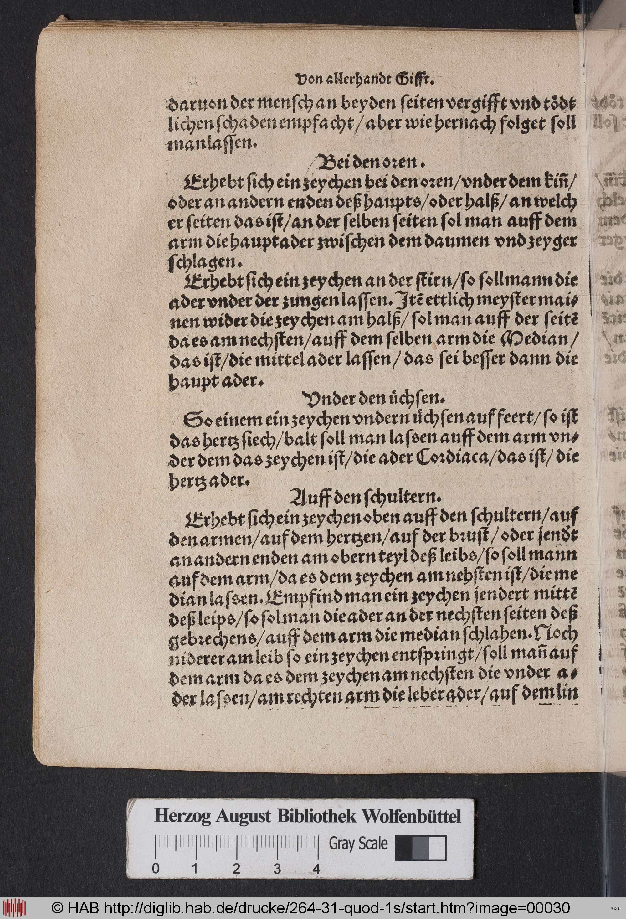 http://diglib.hab.de/drucke/264-31-quod-1s/max/00030.jpg