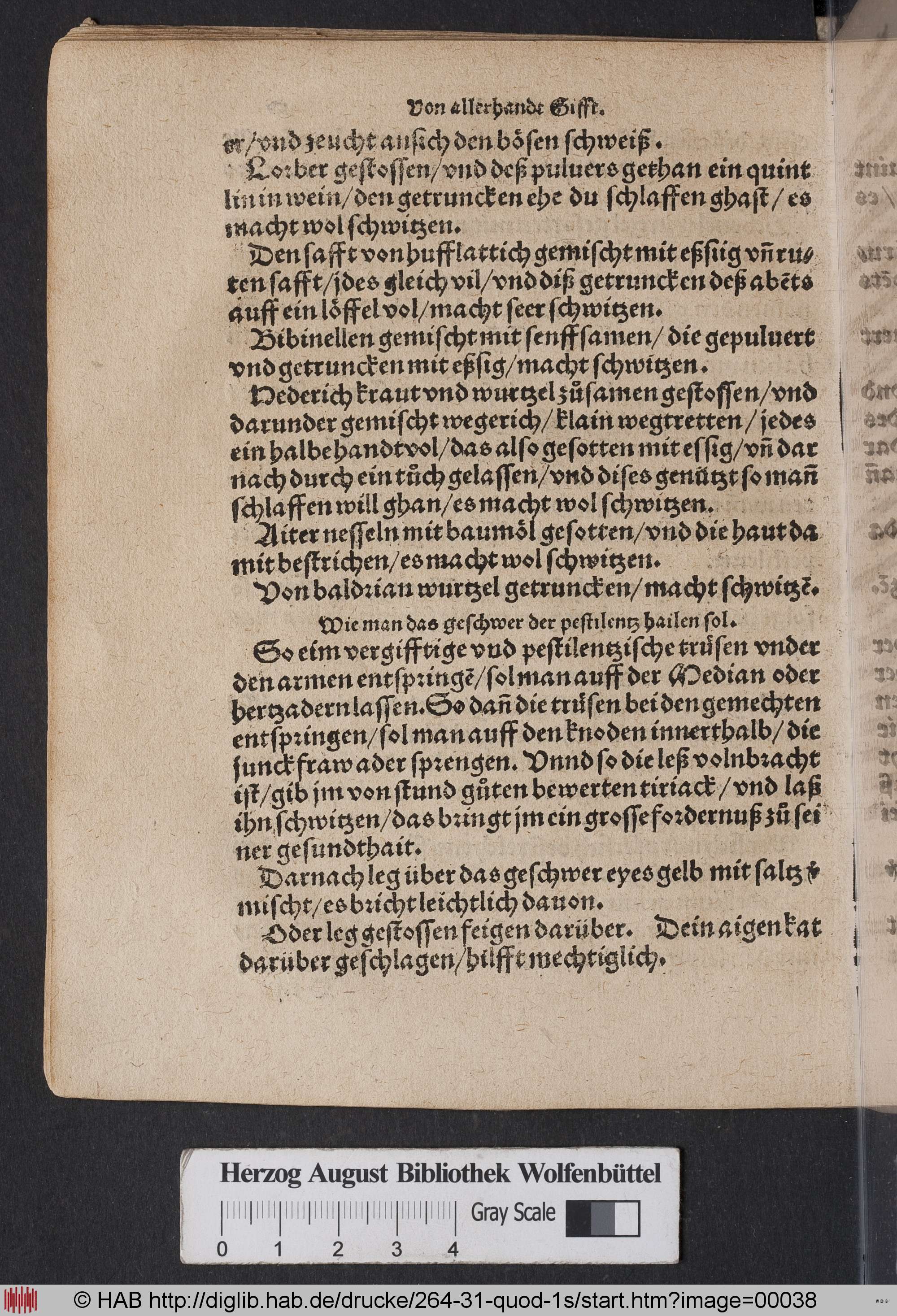 http://diglib.hab.de/drucke/264-31-quod-1s/max/00038.jpg