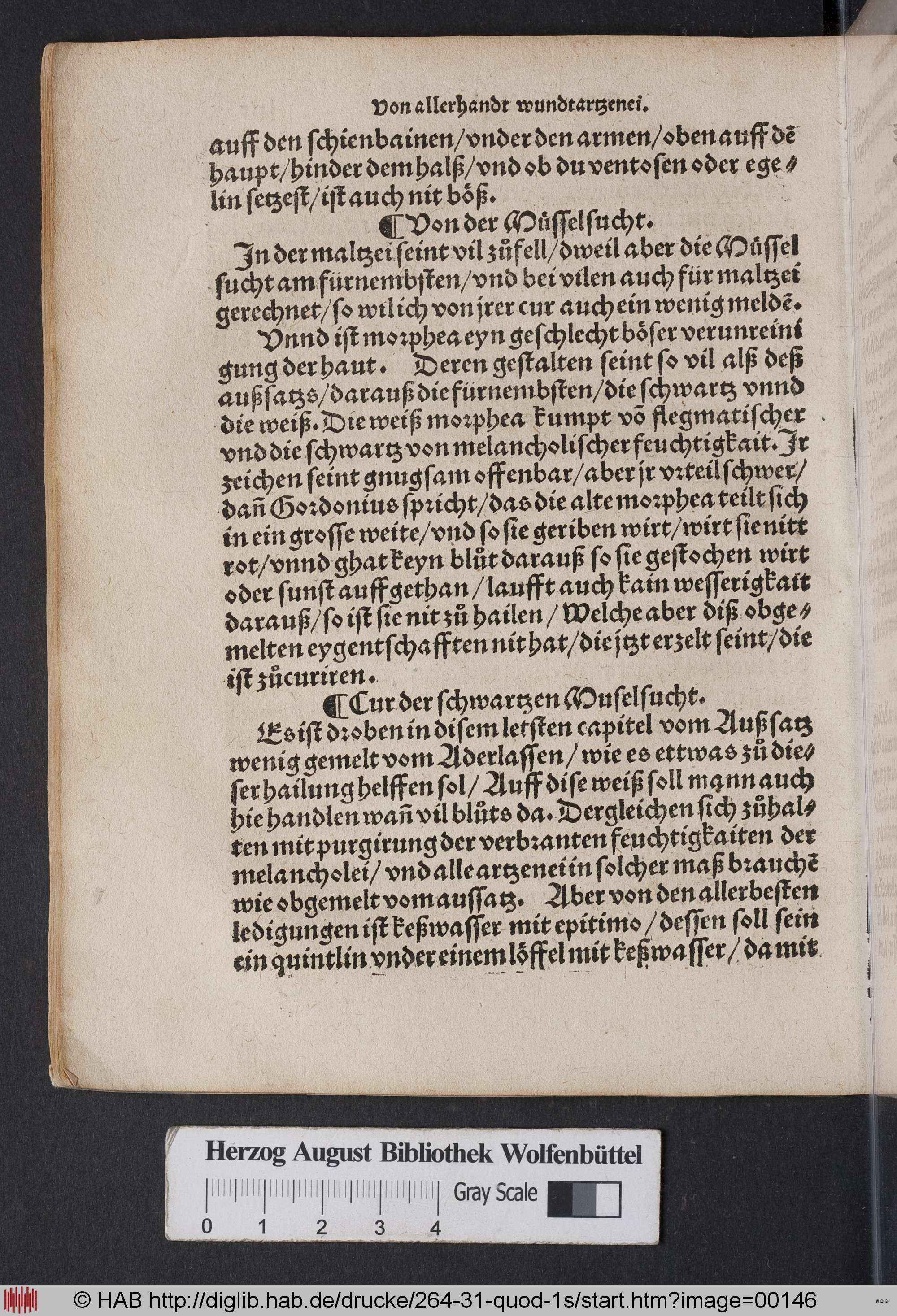 http://diglib.hab.de/drucke/264-31-quod-1s/max/00146.jpg