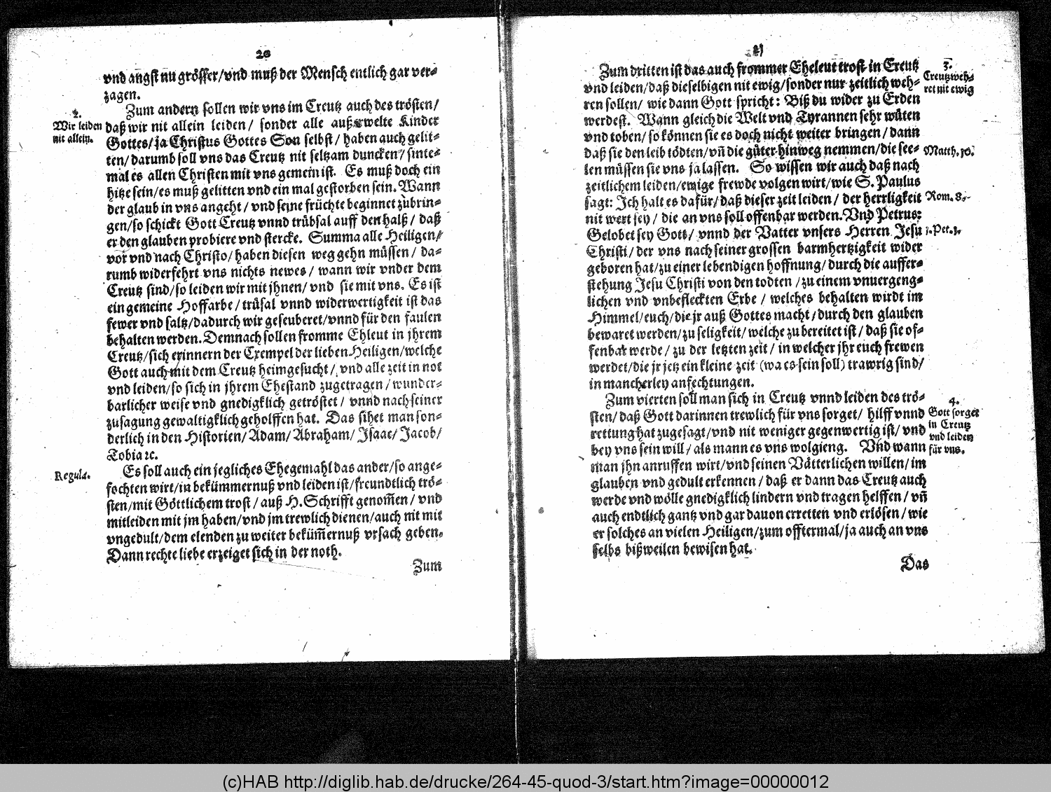 http://diglib.hab.de/drucke/264-45-quod-3/00000012.gif