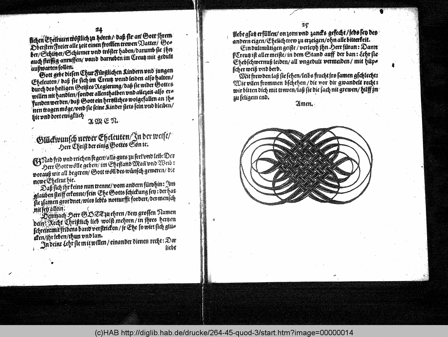 http://diglib.hab.de/drucke/264-45-quod-3/00000014.gif