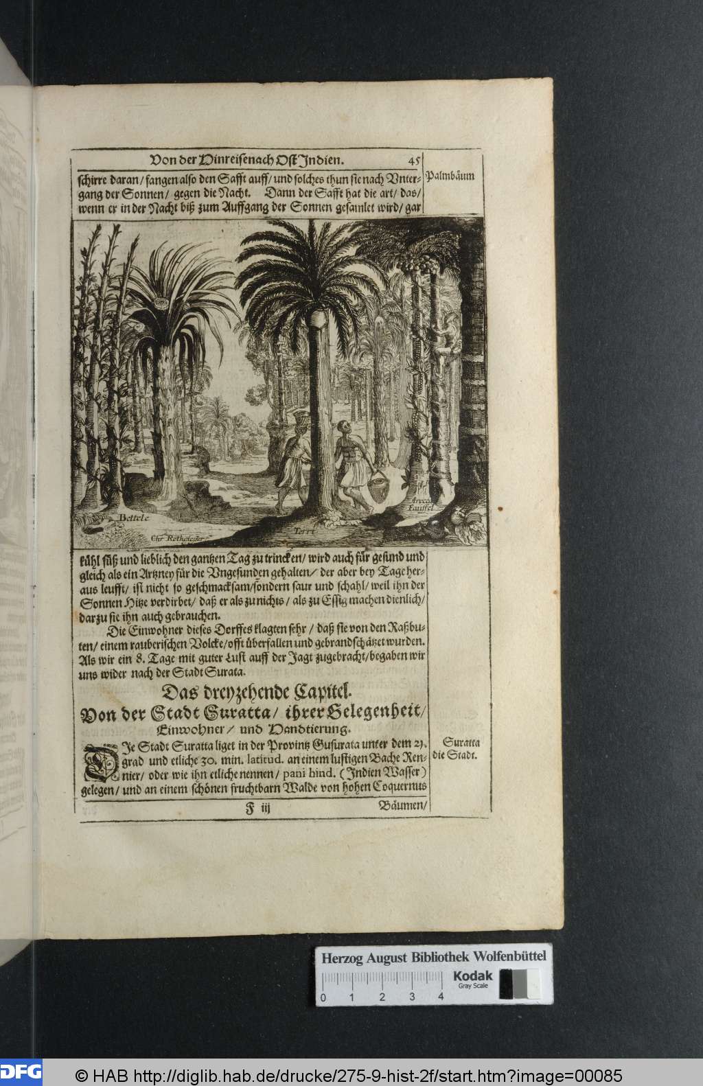 http://diglib.hab.de/drucke/275-9-hist-2f/00085.jpg