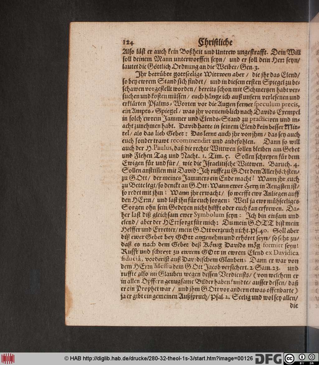 http://diglib.hab.de/drucke/280-32-theol-1s-3/00126.jpg