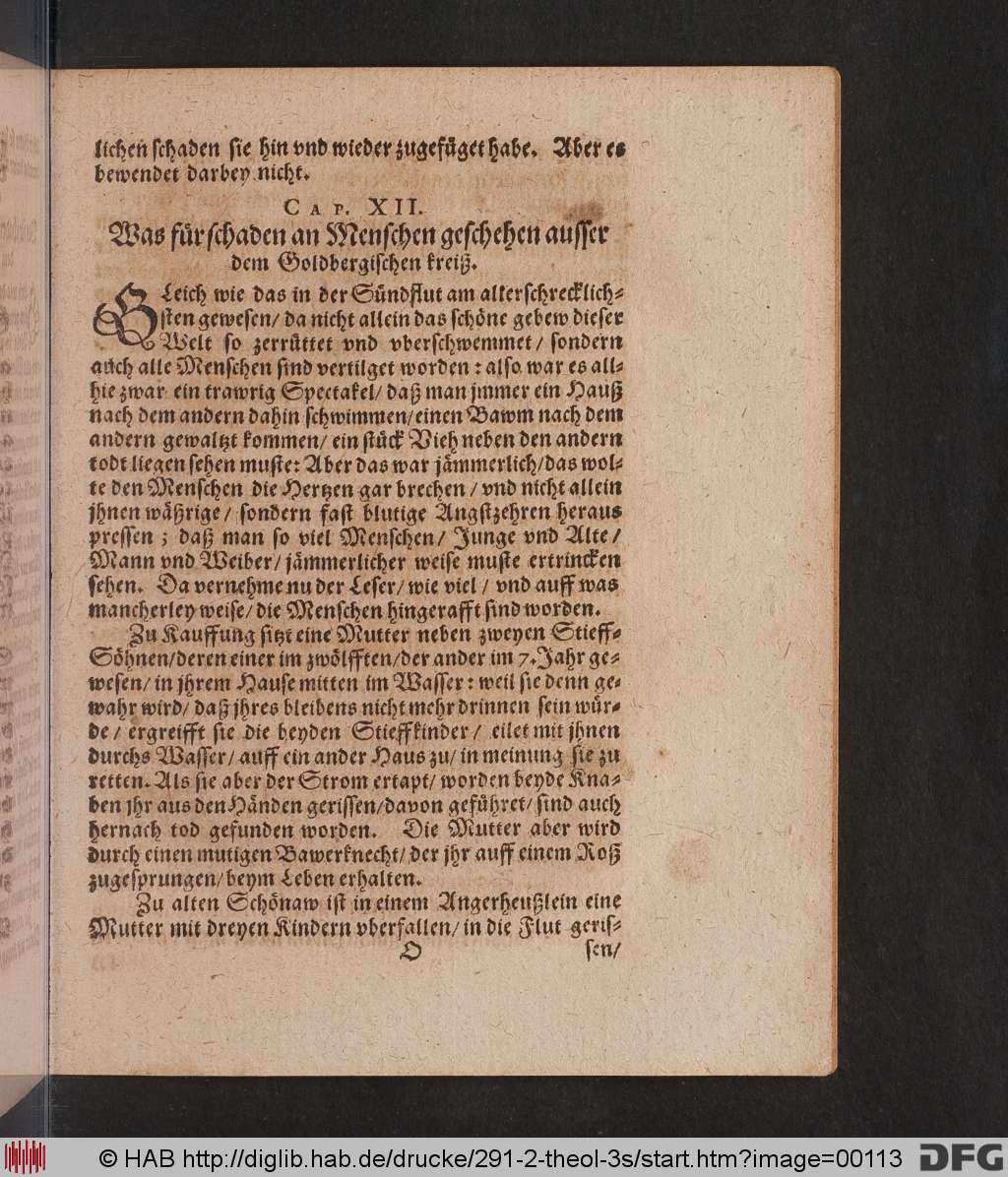 http://diglib.hab.de/drucke/291-2-theol-3s/00113.jpg