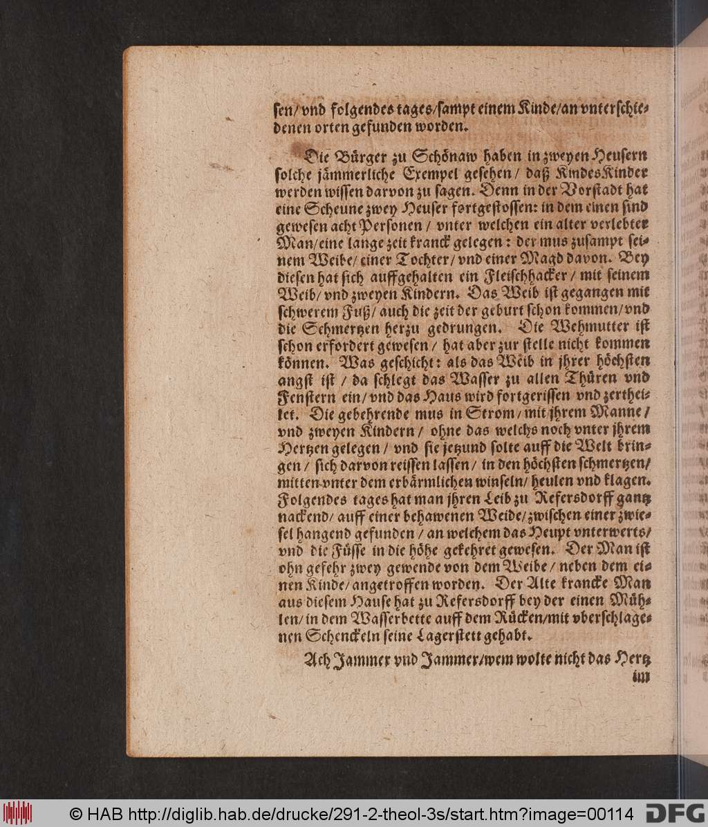 http://diglib.hab.de/drucke/291-2-theol-3s/00114.jpg