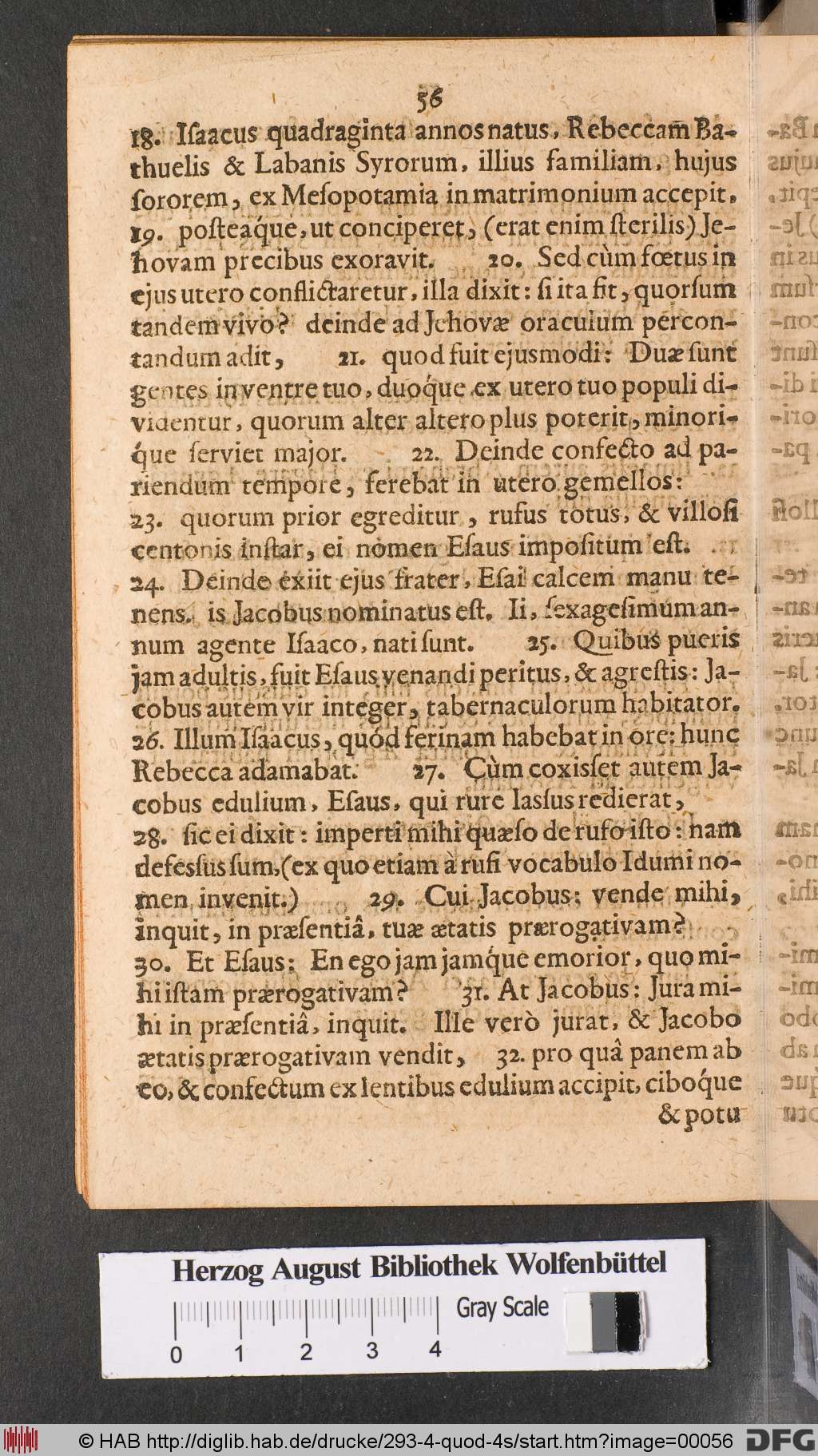 http://diglib.hab.de/drucke/293-4-quod-4s/00056.jpg