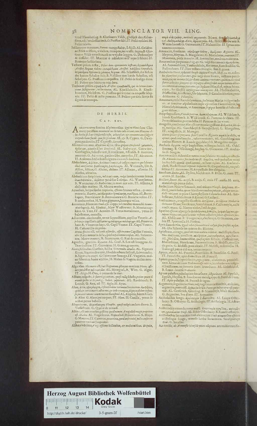 http://diglib.hab.de/drucke/3-5-gram-2f/00788.jpg