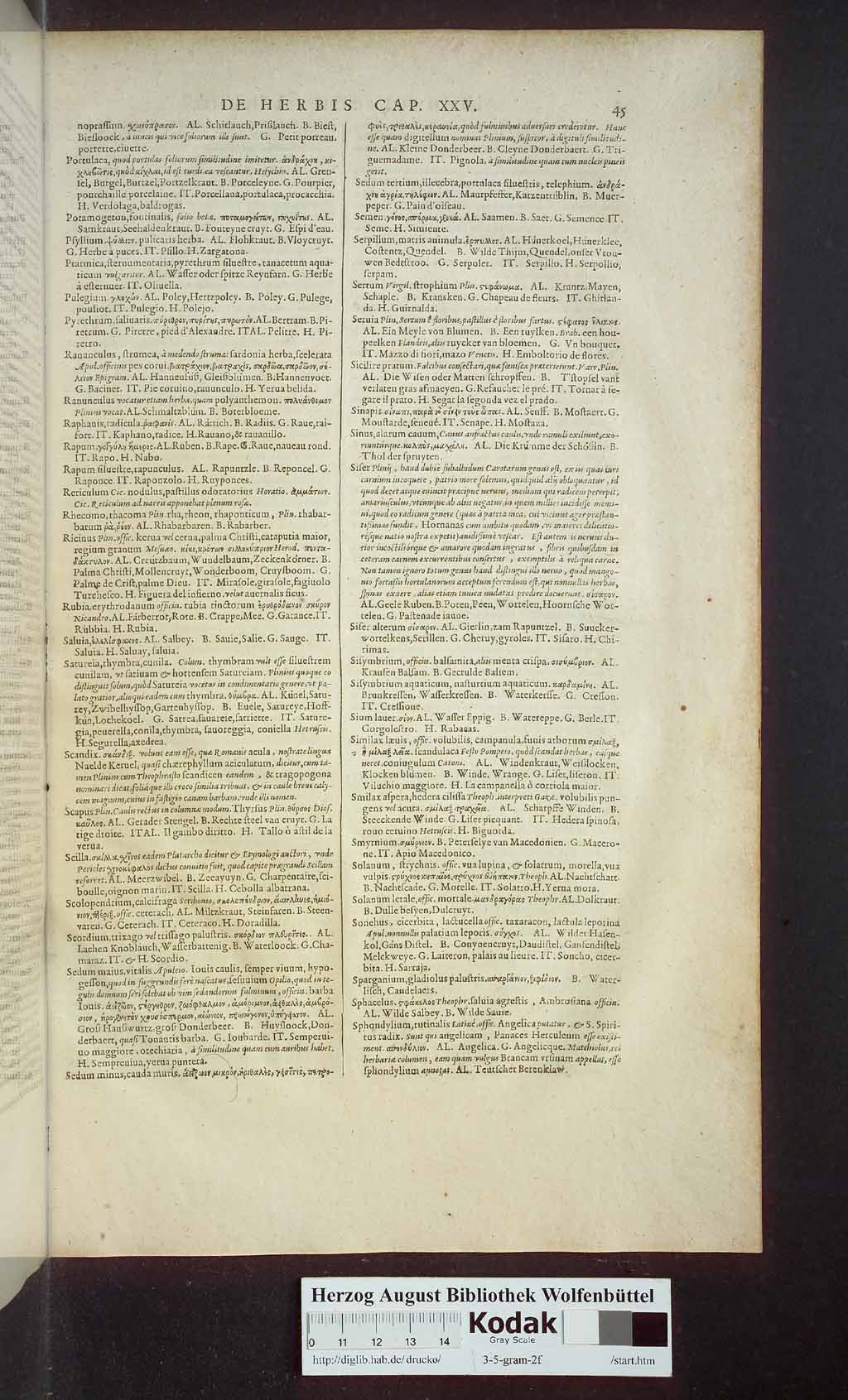 http://diglib.hab.de/drucke/3-5-gram-2f/00795.jpg