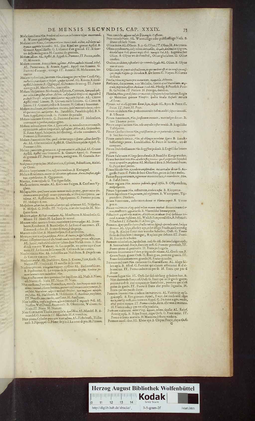 http://diglib.hab.de/drucke/3-5-gram-2f/00823.jpg