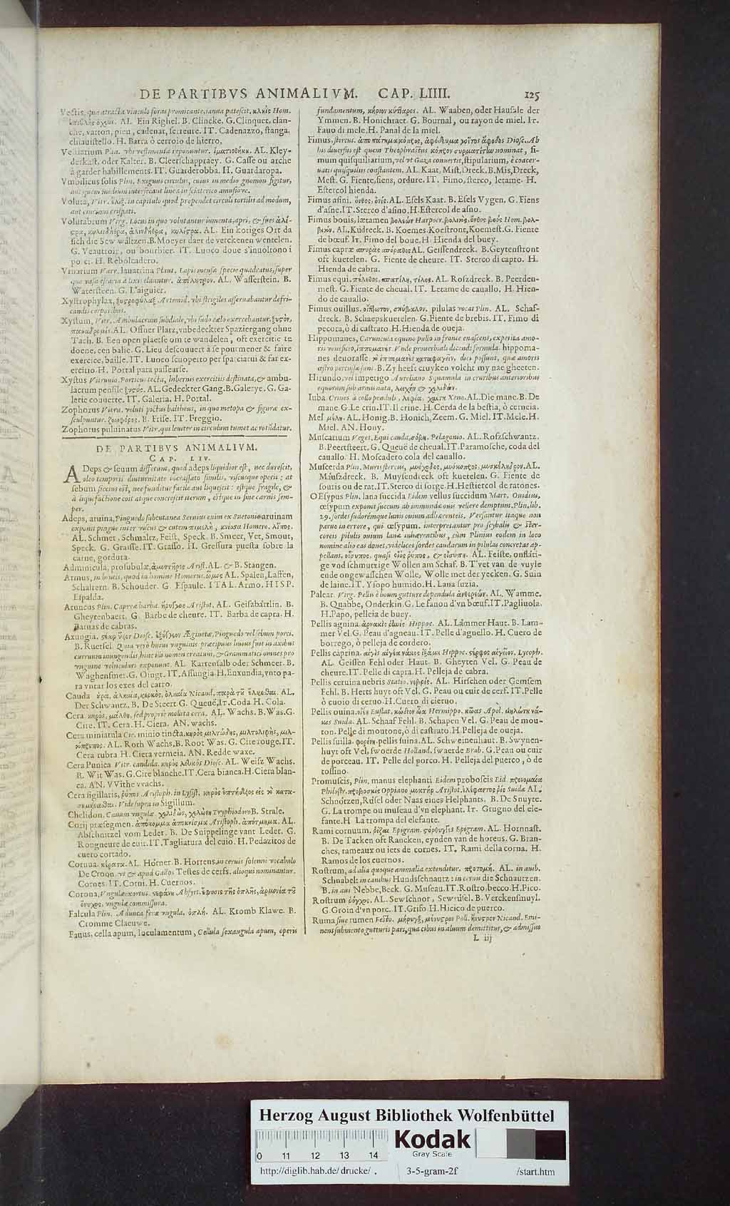 http://diglib.hab.de/drucke/3-5-gram-2f/00875.jpg