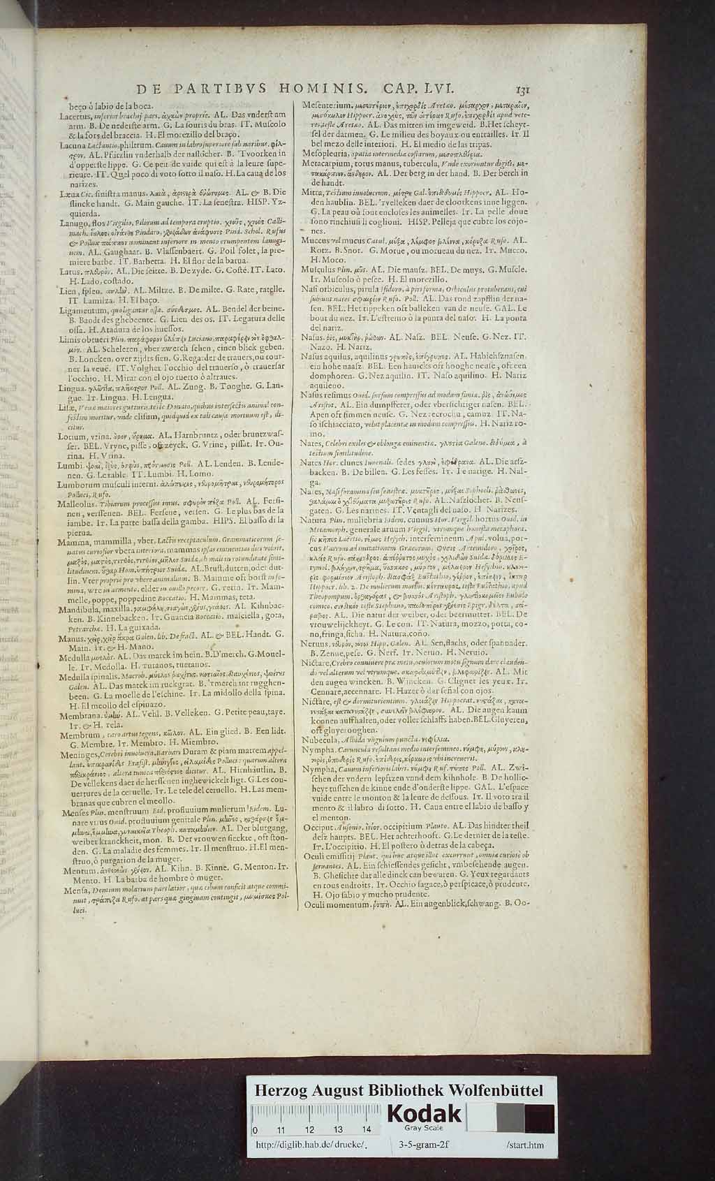 http://diglib.hab.de/drucke/3-5-gram-2f/00881.jpg