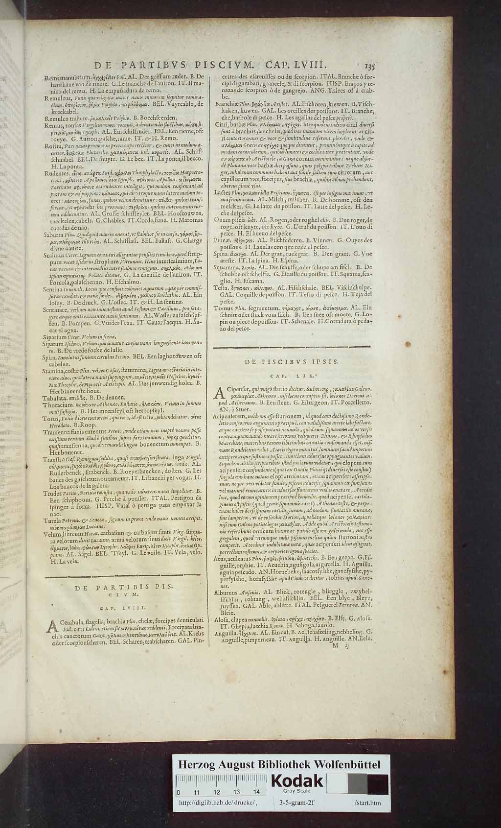 http://diglib.hab.de/drucke/3-5-gram-2f/00885.jpg