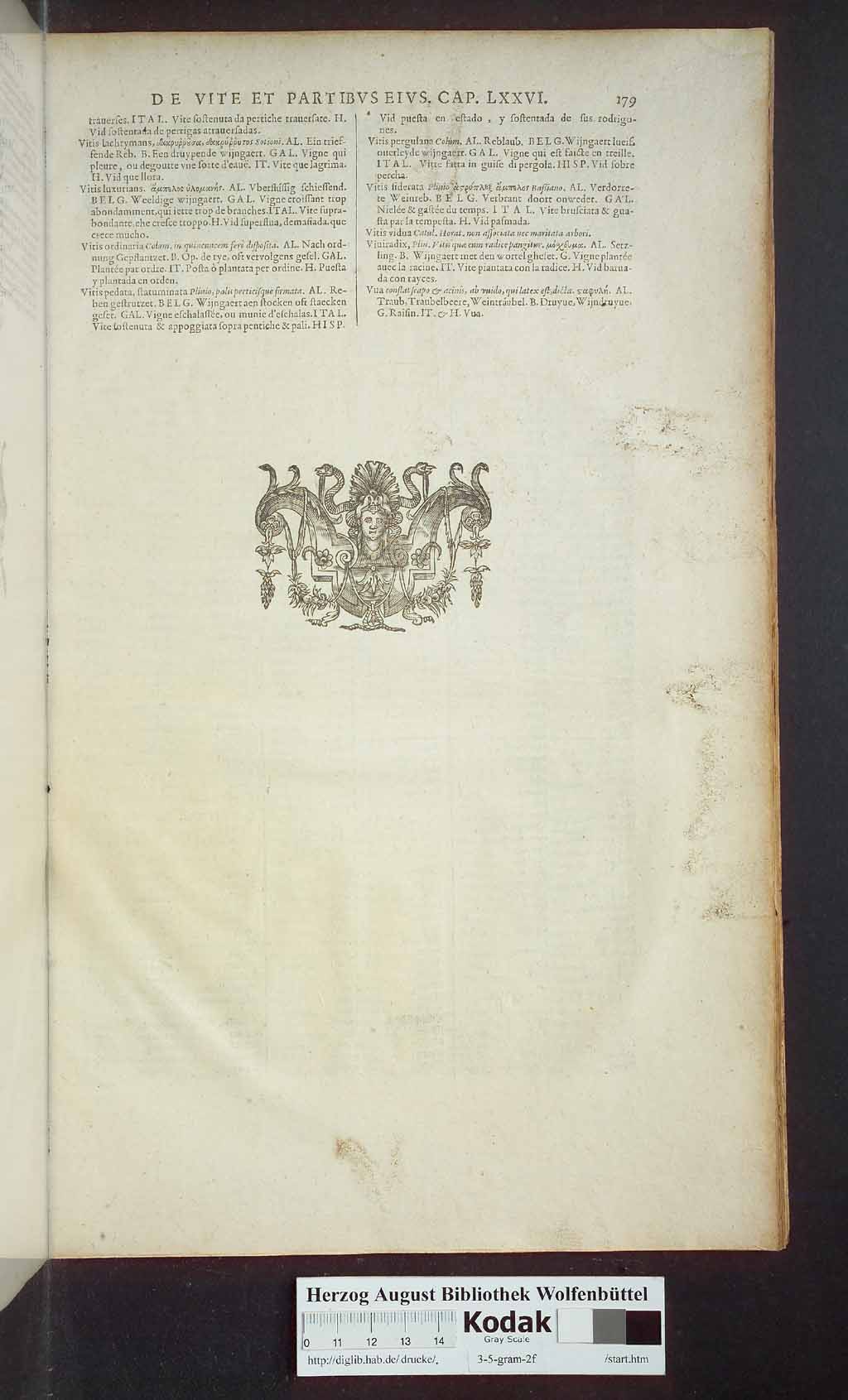 http://diglib.hab.de/drucke/3-5-gram-2f/00929.jpg