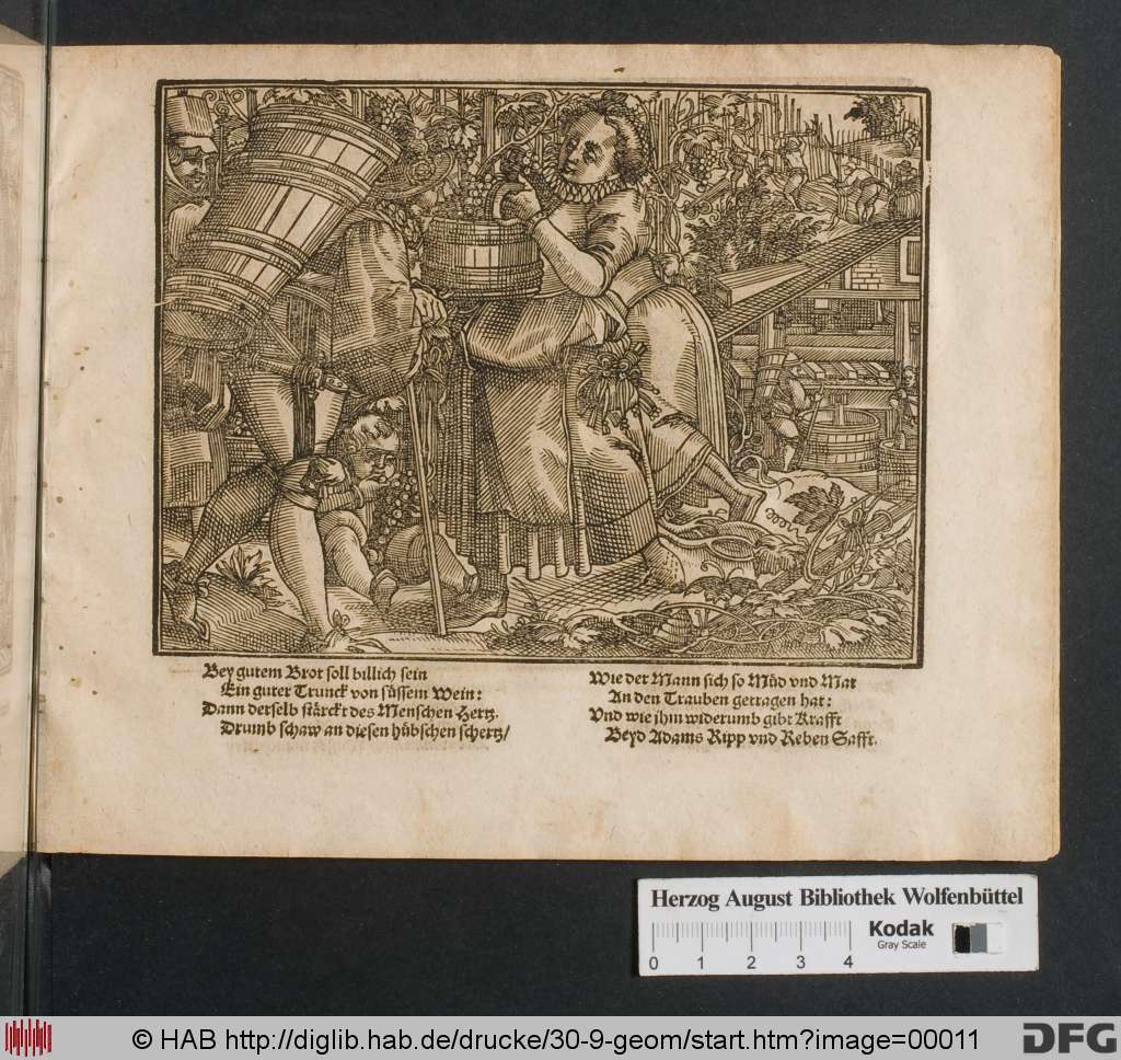 http://diglib.hab.de/drucke/30-9-geom/00011.jpg
