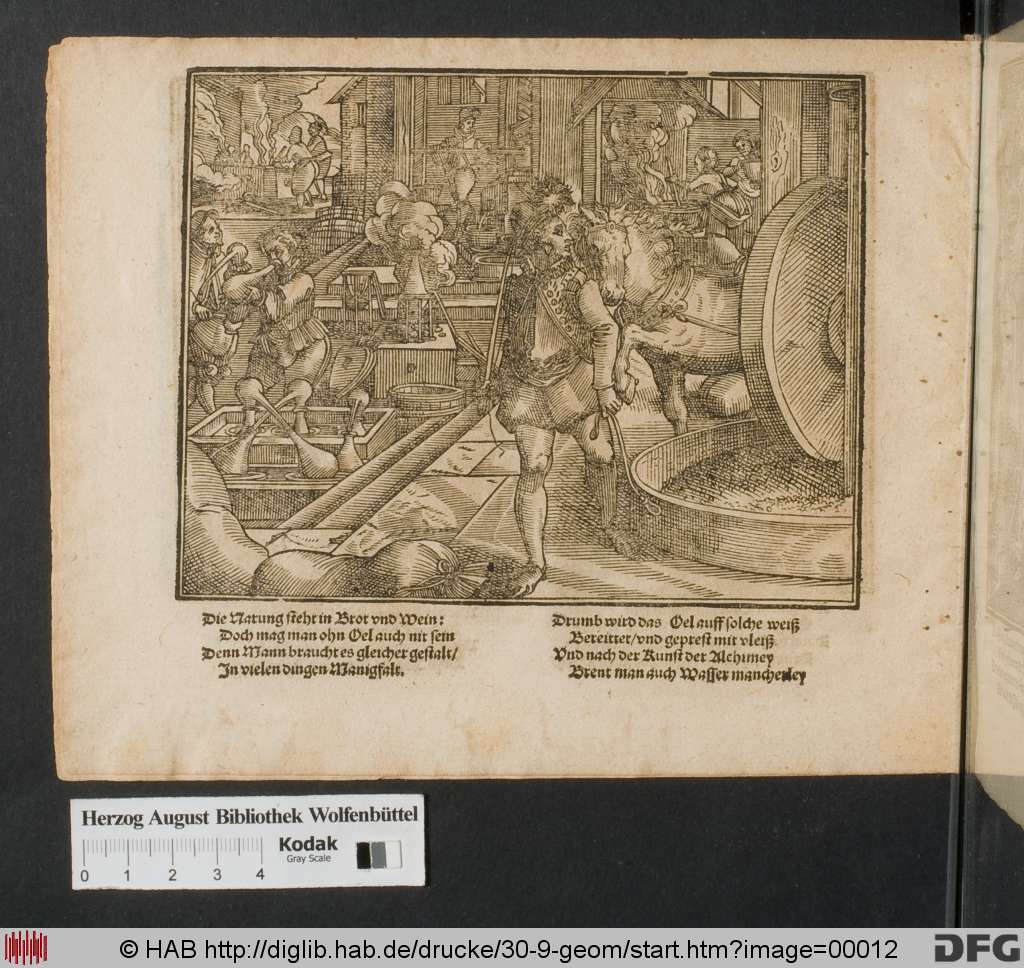 http://diglib.hab.de/drucke/30-9-geom/00012.jpg