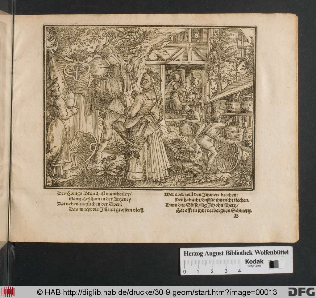 http://diglib.hab.de/drucke/30-9-geom/00013.jpg