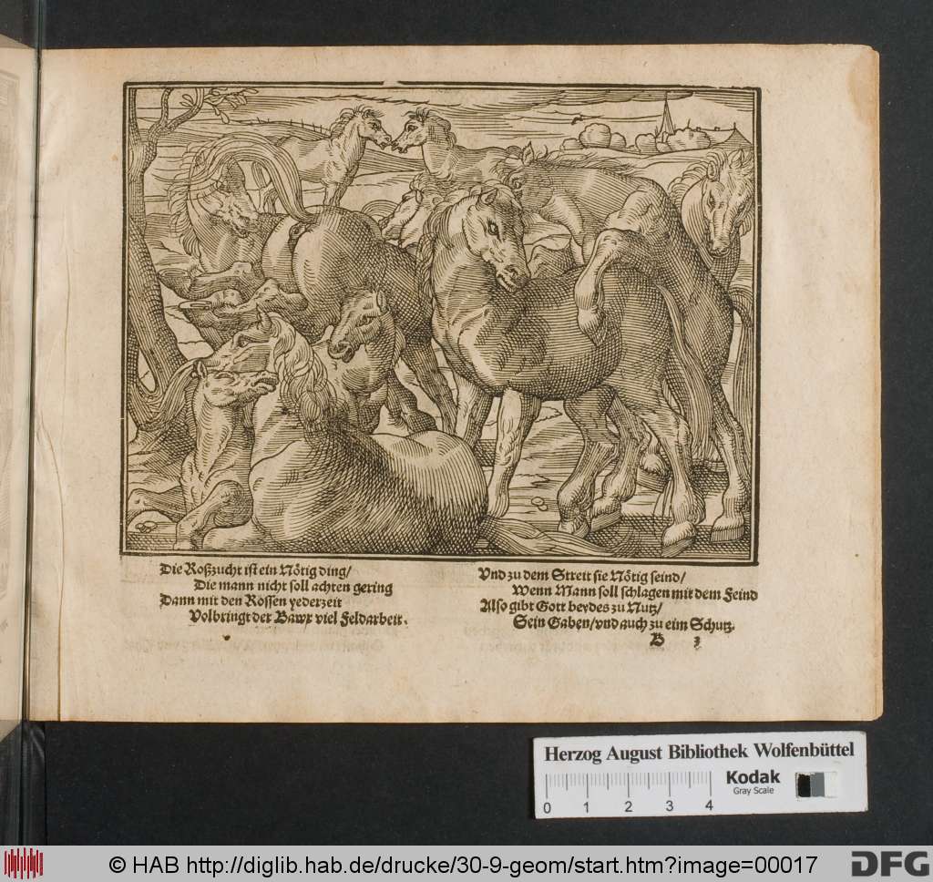 http://diglib.hab.de/drucke/30-9-geom/00017.jpg