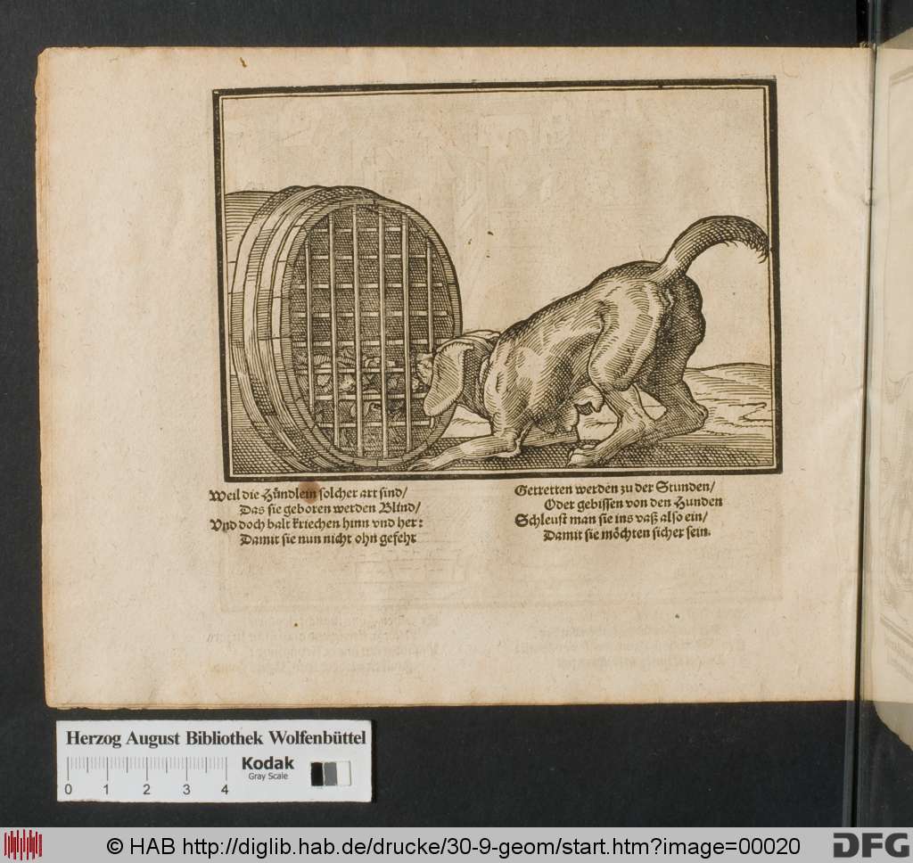 http://diglib.hab.de/drucke/30-9-geom/00020.jpg
