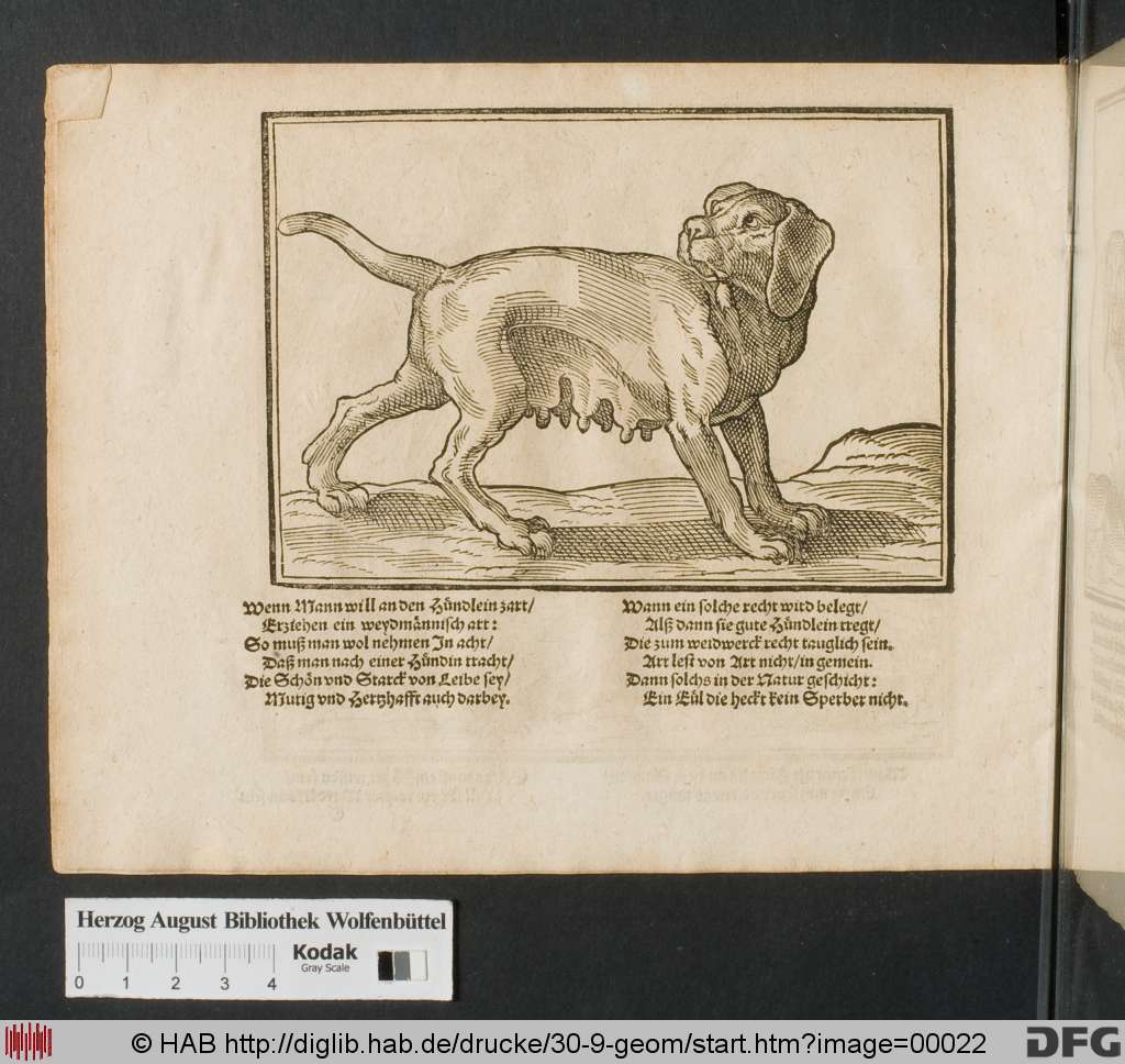 http://diglib.hab.de/drucke/30-9-geom/00022.jpg