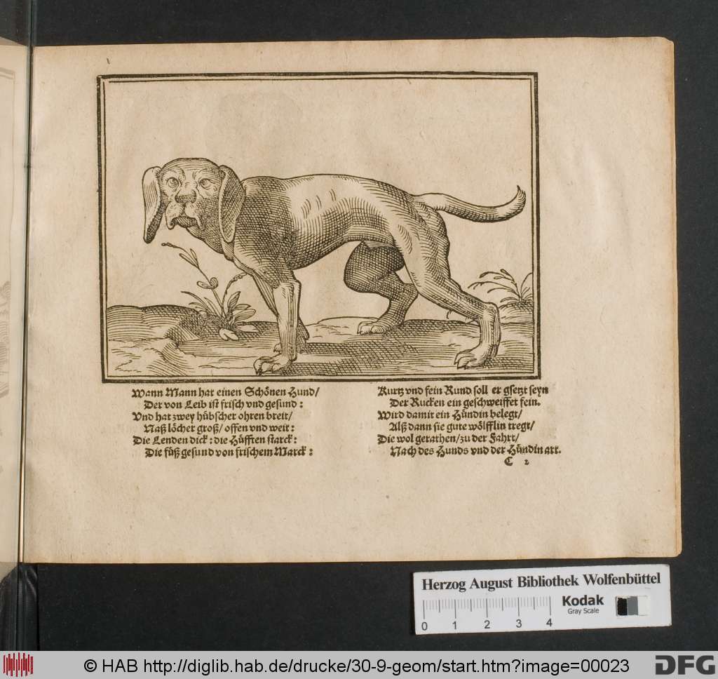 http://diglib.hab.de/drucke/30-9-geom/00023.jpg