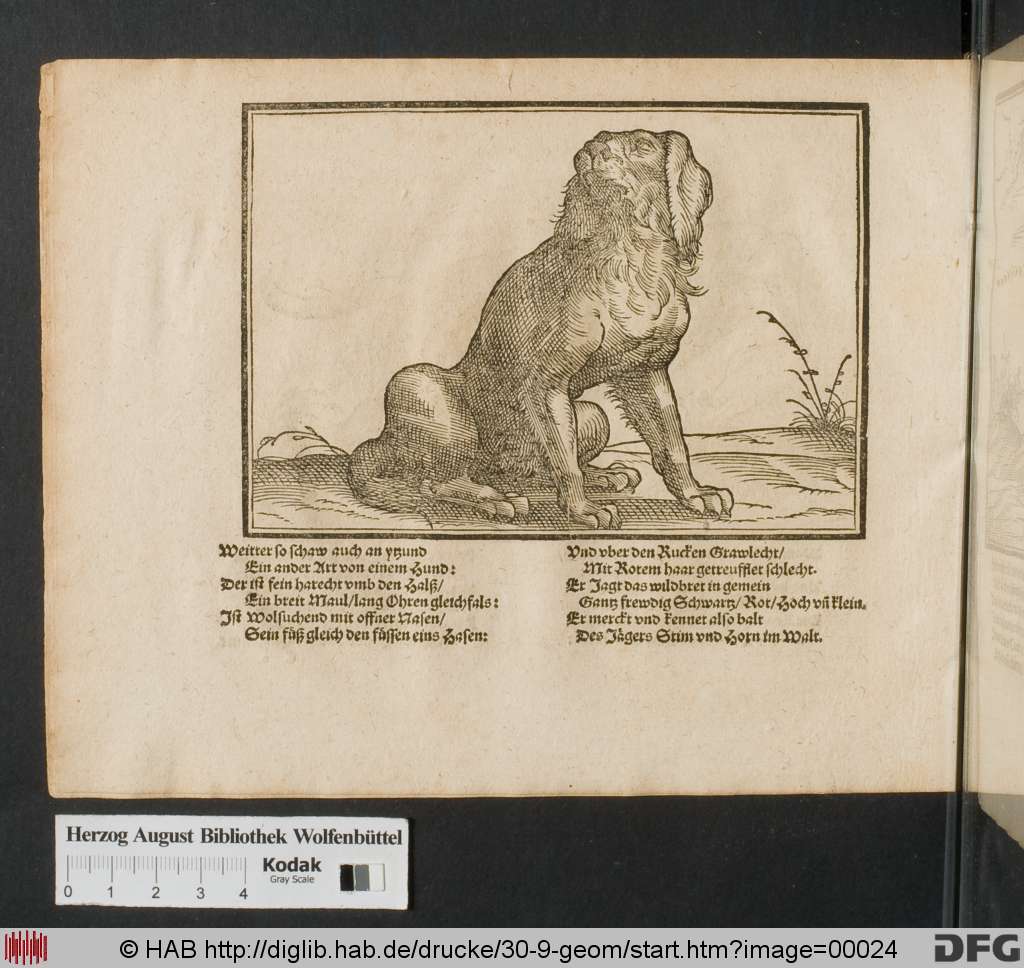 http://diglib.hab.de/drucke/30-9-geom/00024.jpg