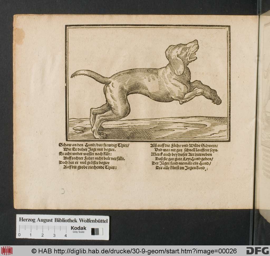 http://diglib.hab.de/drucke/30-9-geom/00026.jpg