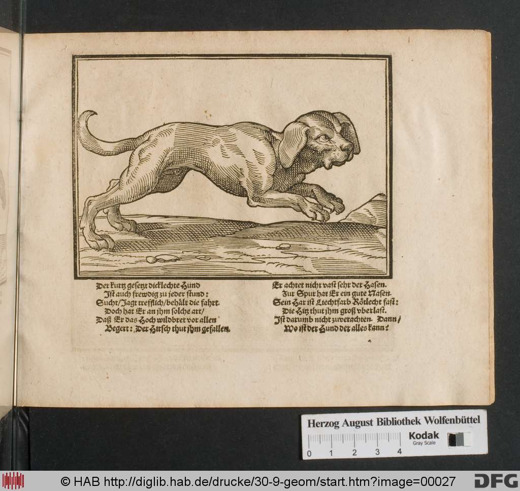 http://diglib.hab.de/drucke/30-9-geom/00027.jpg