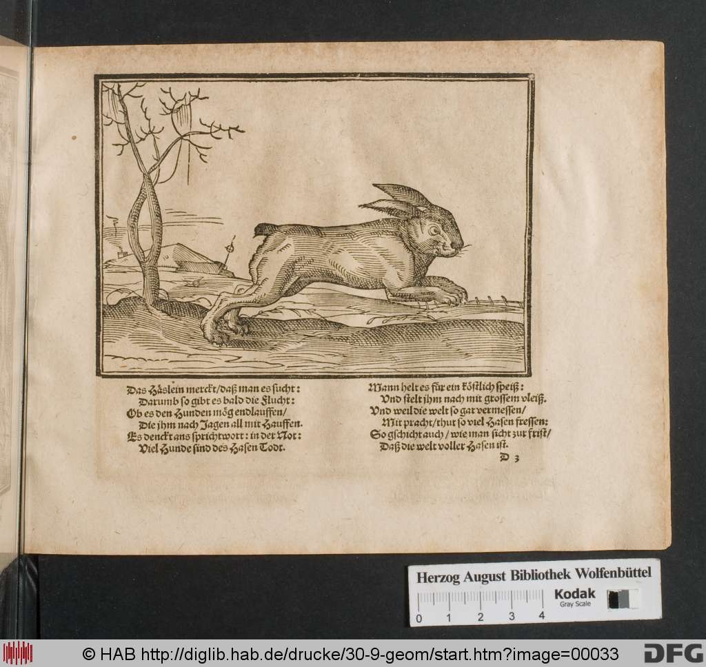 http://diglib.hab.de/drucke/30-9-geom/00033.jpg