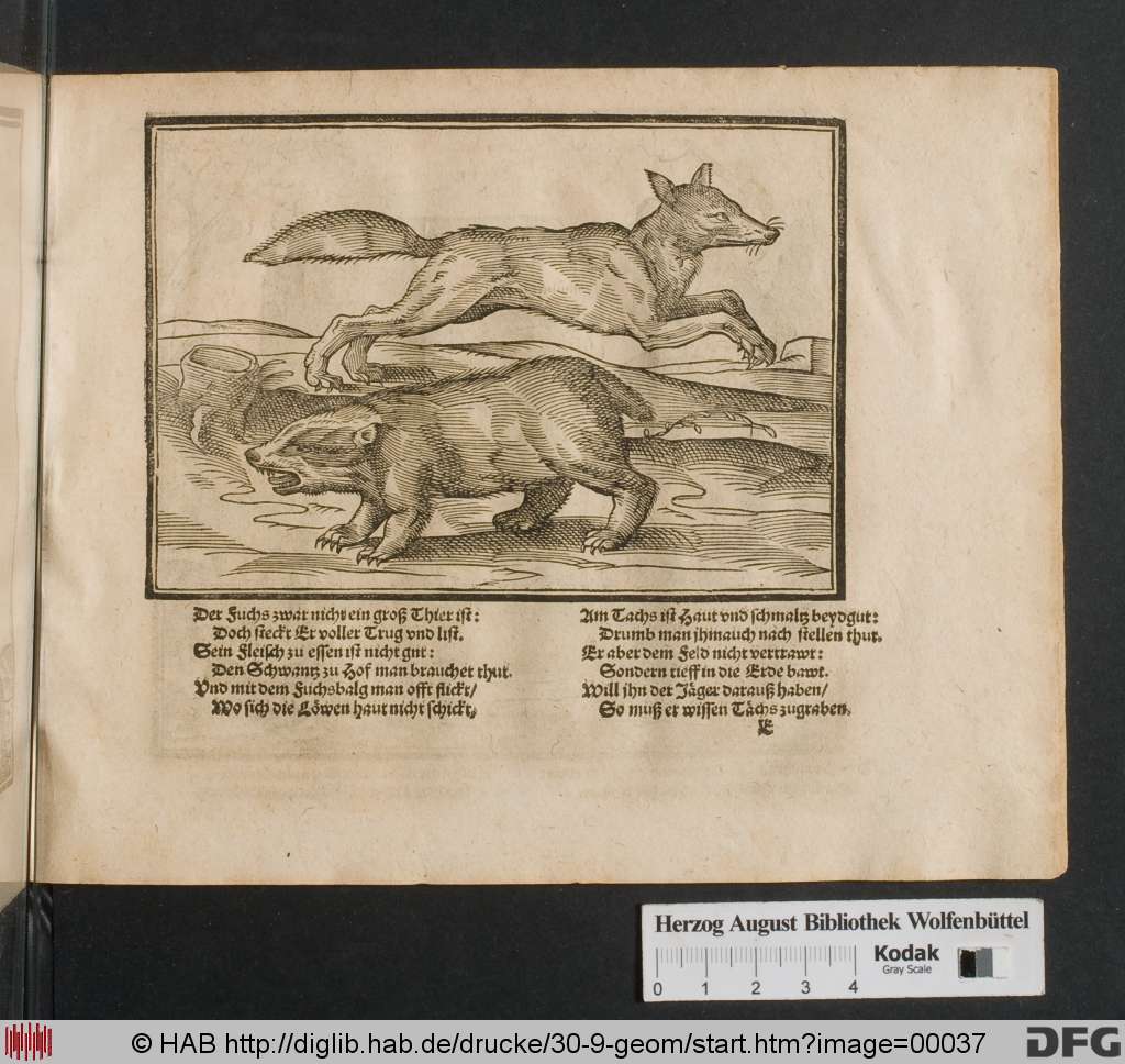 http://diglib.hab.de/drucke/30-9-geom/00037.jpg